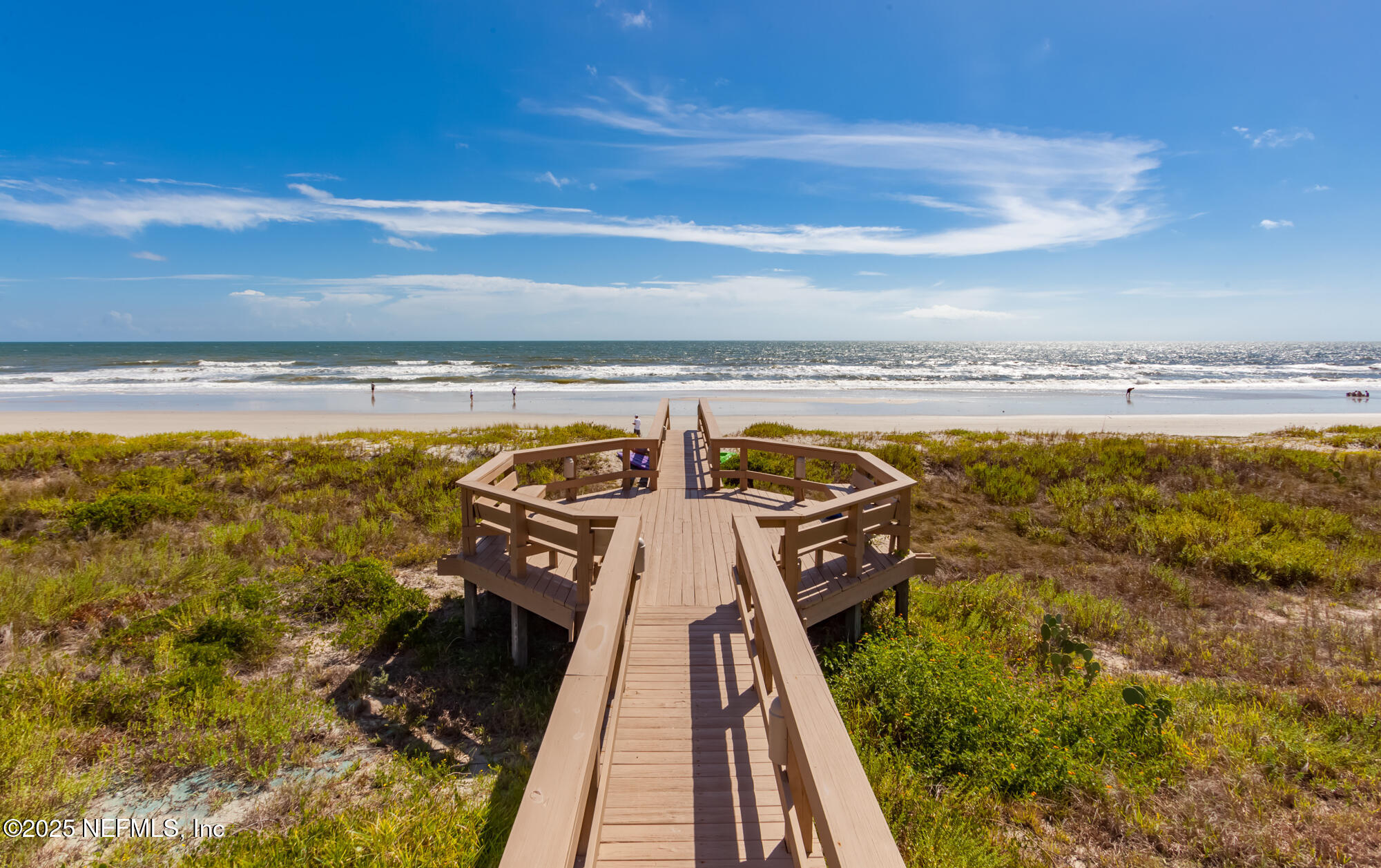 4427 ROYAL TERN Court