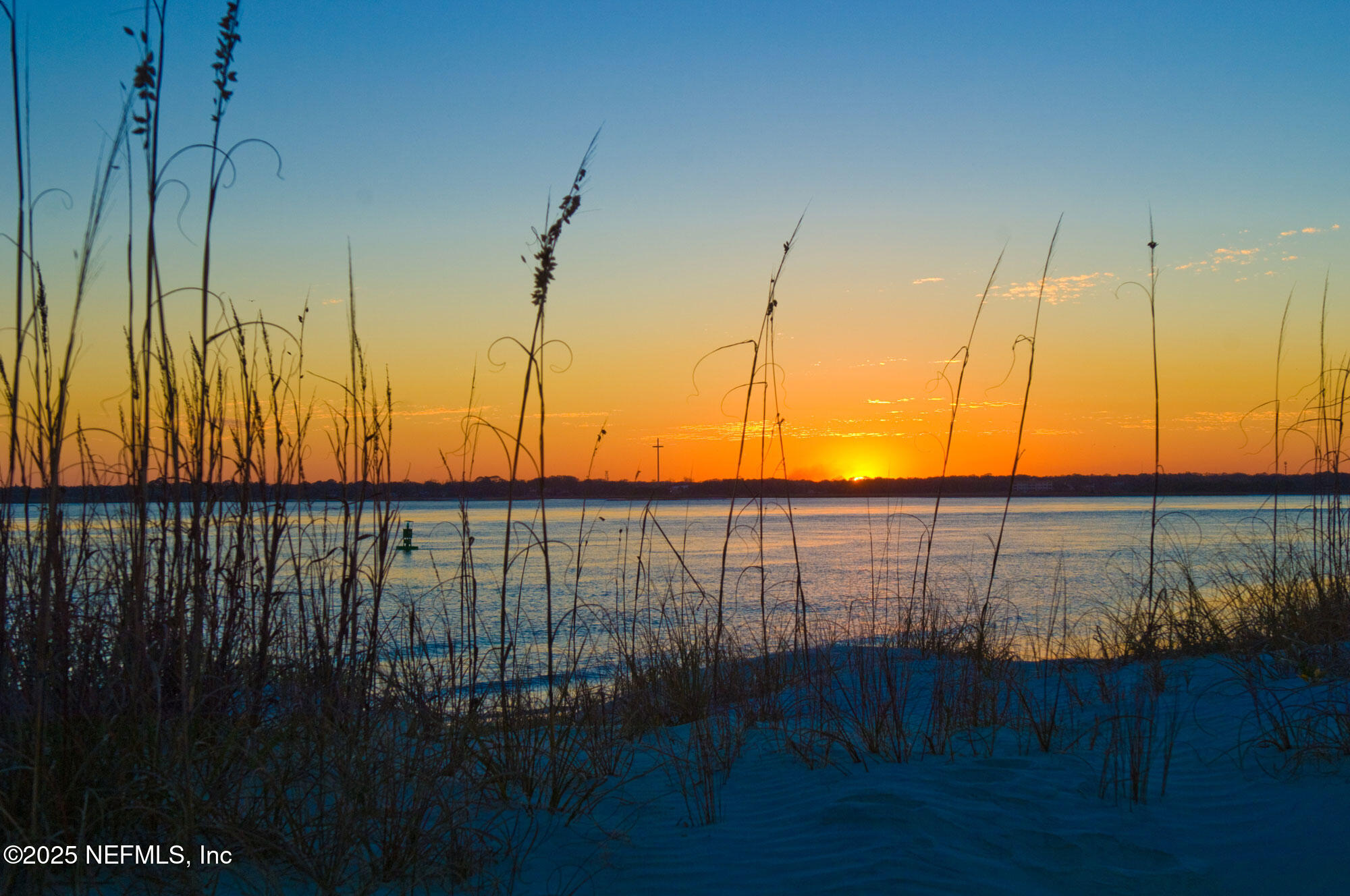 698 CHERRY ELM Drive, St. Augustine