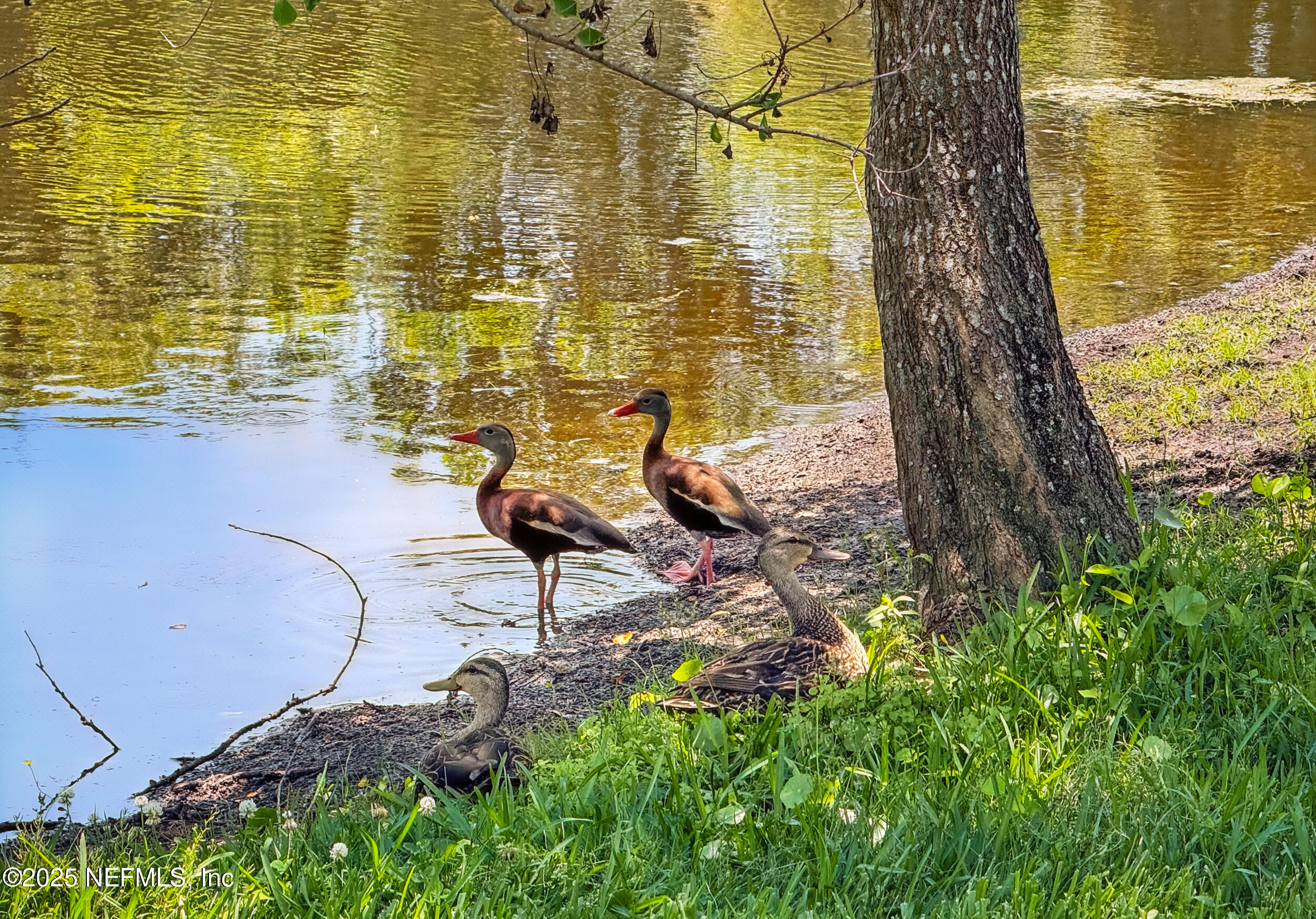 150A N ROSCOE Boulevard