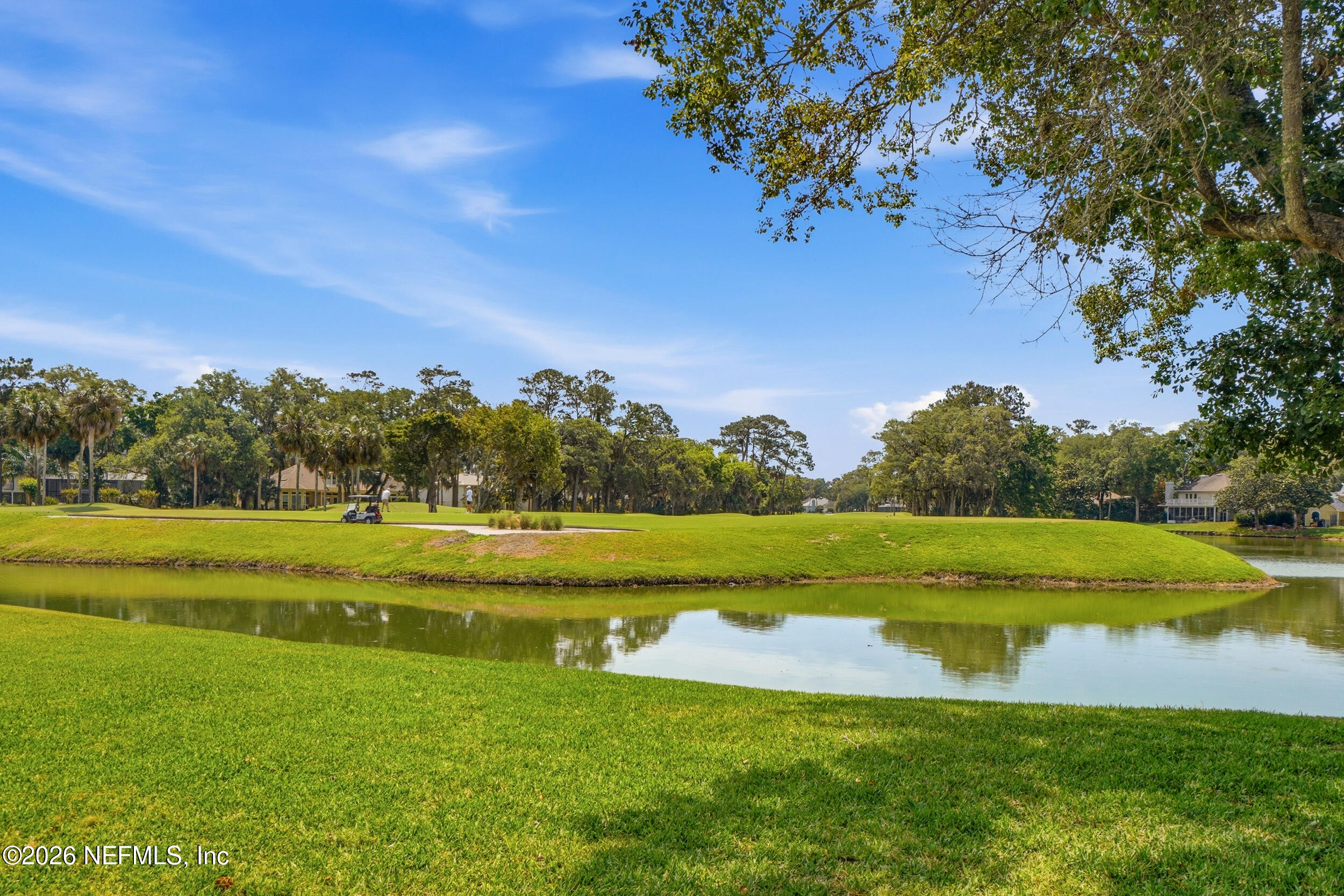 1132 SALT CREEK Drive