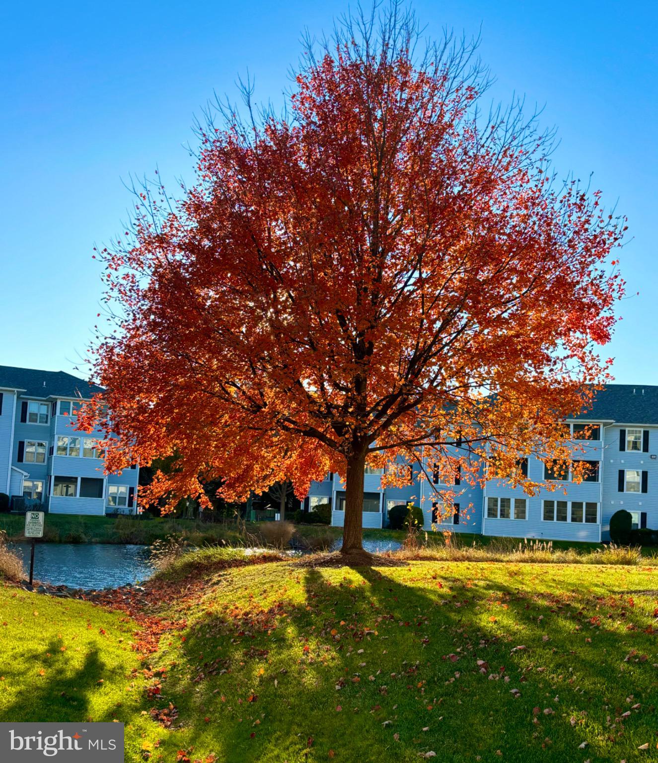 3800 SANIBEL CIRCLE 3811