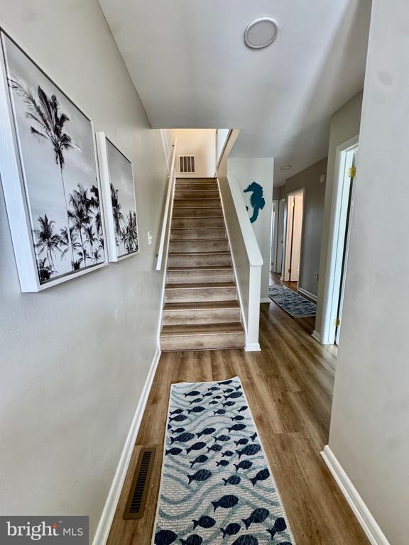 Hallway with a carpeted staircase, wood-look flooring, palm prints, and a fish-patterned runner.