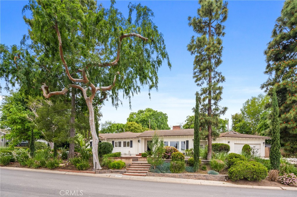 3215 Arbol Drive
