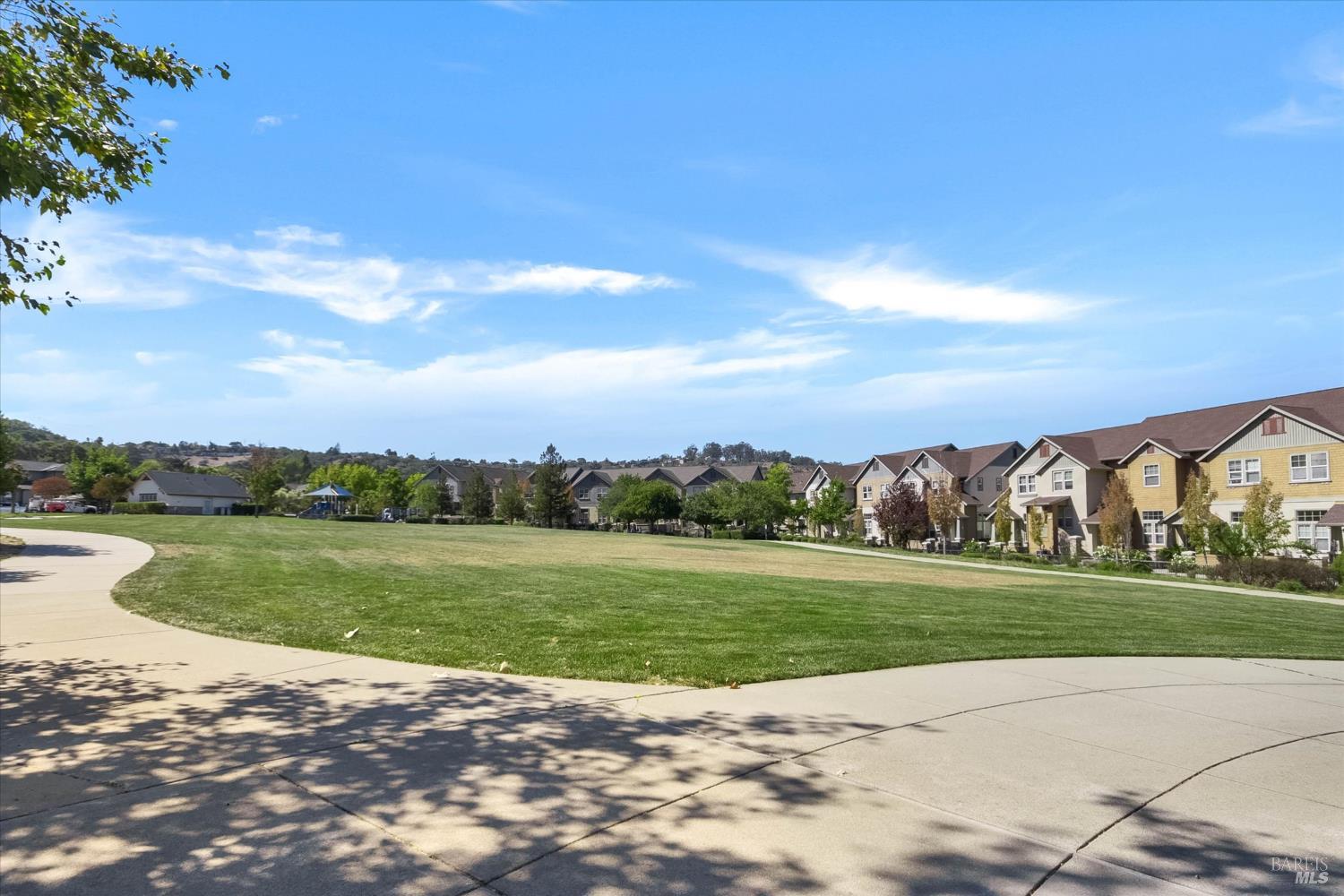 Neighborhood park with a wide lawn and curving sidewalk beside rows of homes.