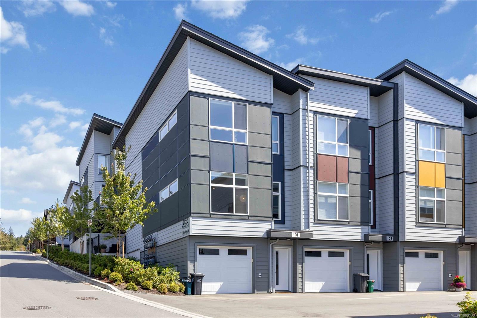 2120 Triangle Trail # 101