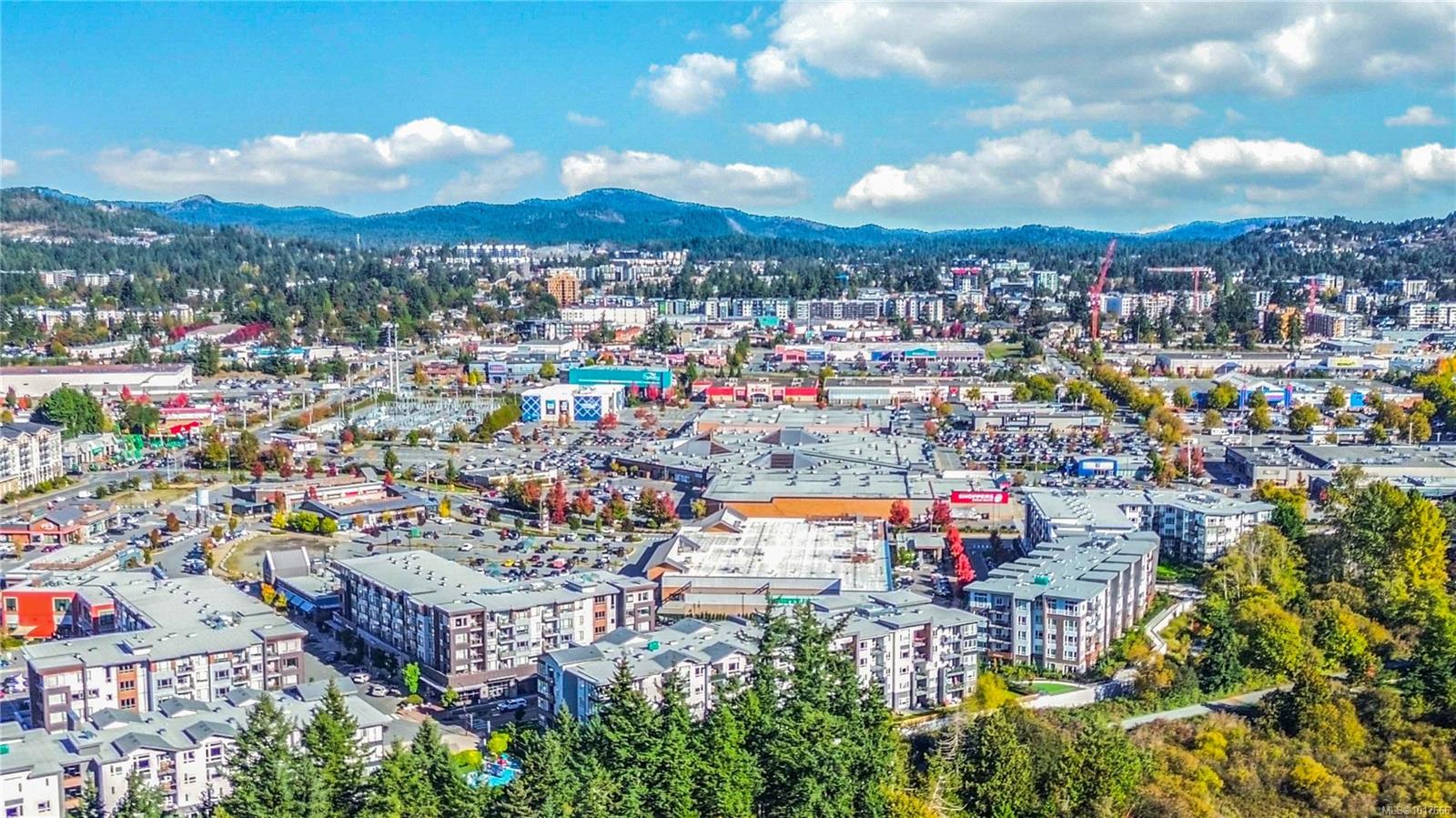 940 Reunion Ave # 405, Langford Unit: 405