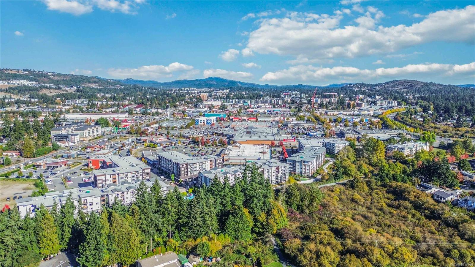 940 Reunion Ave # 405, Langford Unit: 405