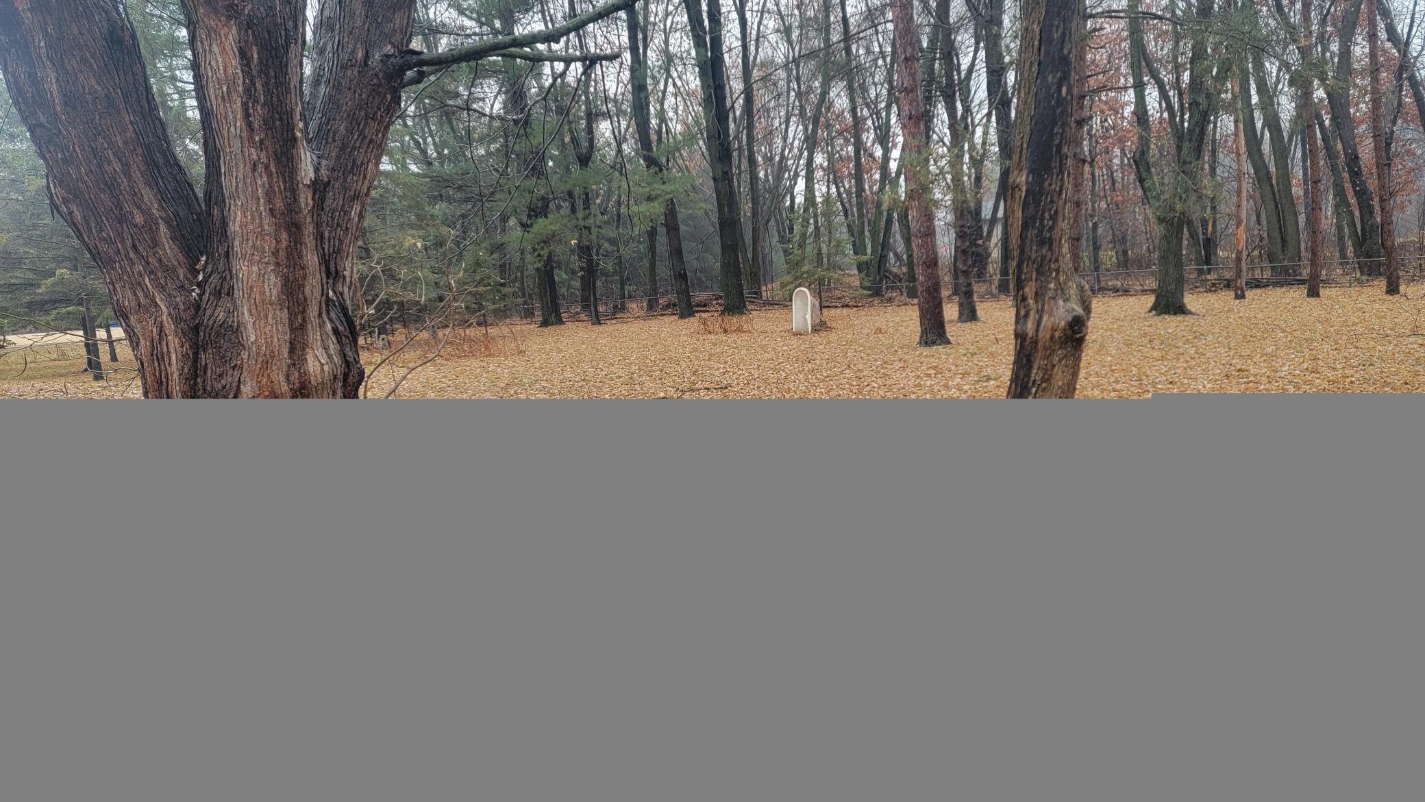 17216 Lexington Avenue NE