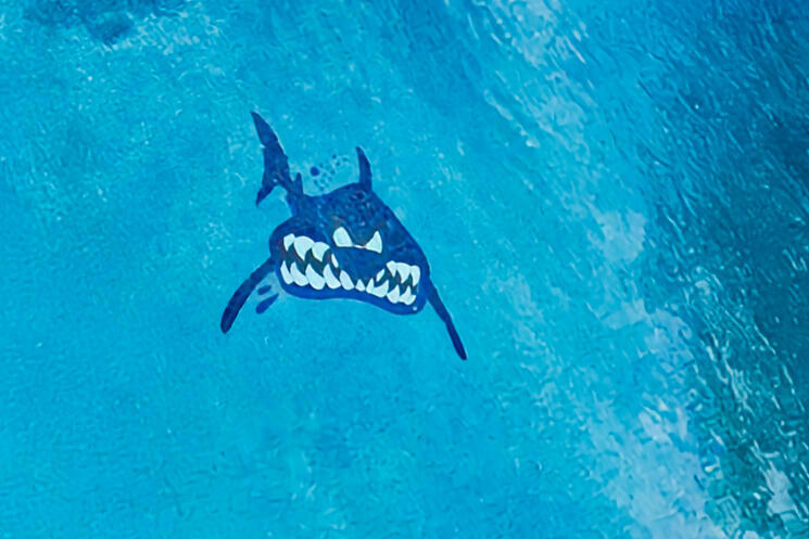 77779 Saint Augustine Drive