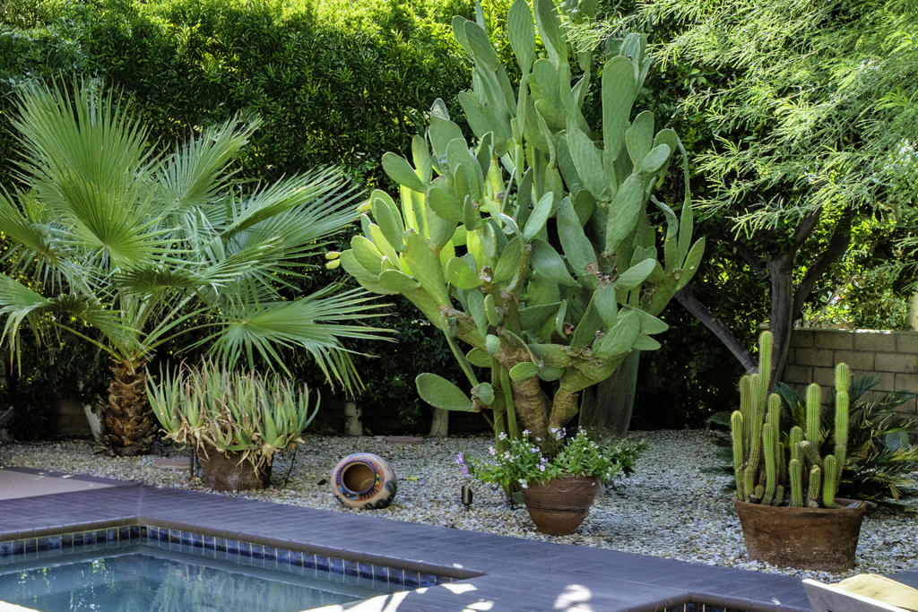 77779 Saint Augustine Drive