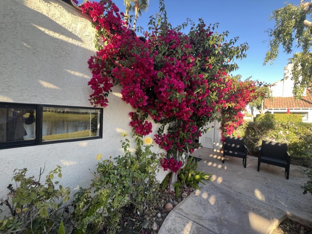 442 Sunningdale Drive