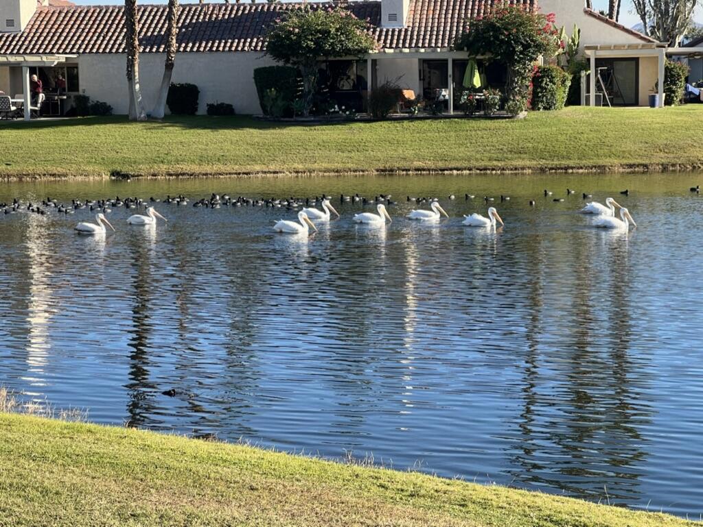 442 Sunningdale Drive