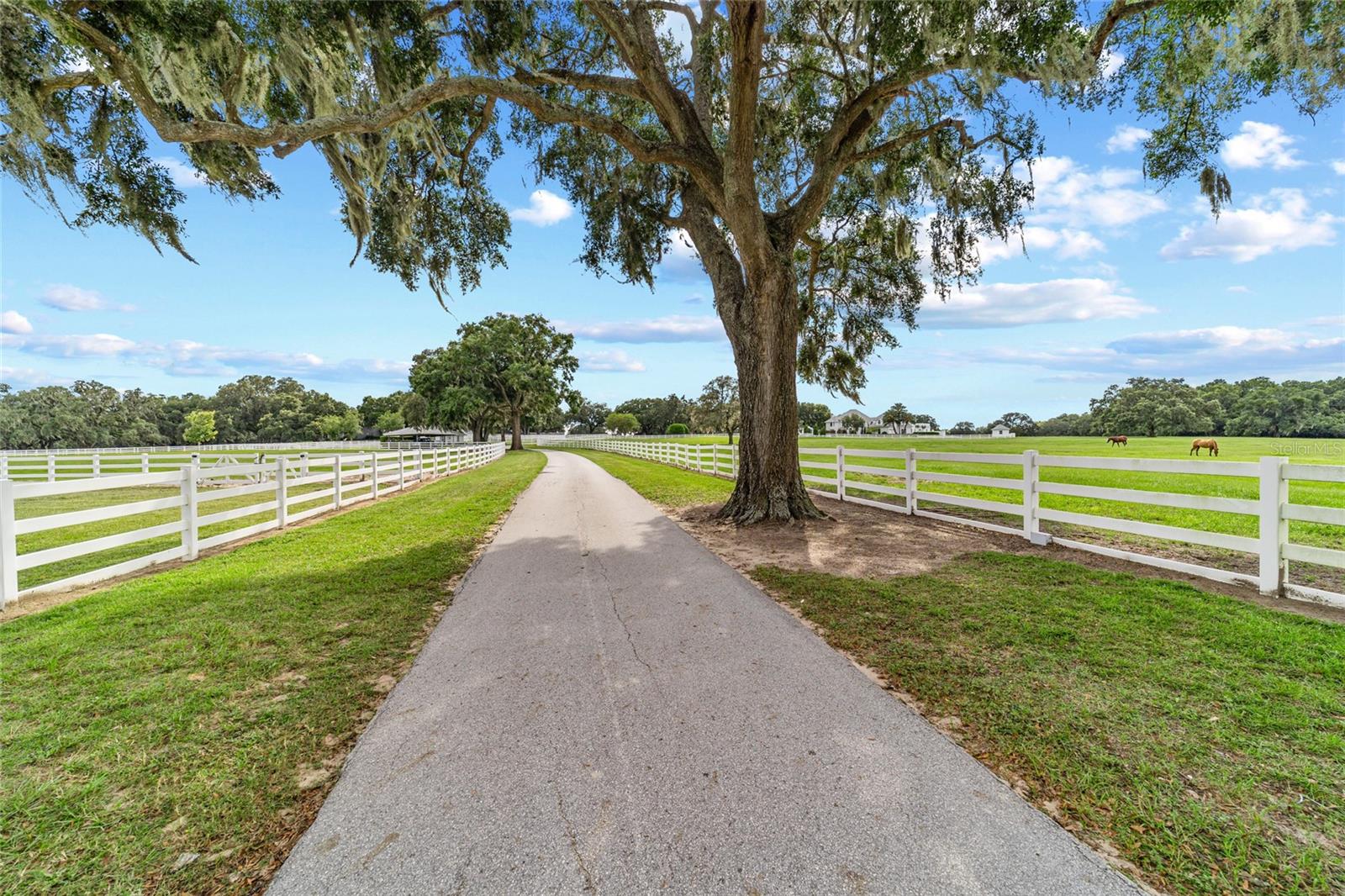 11800 S HIGHWAY 475