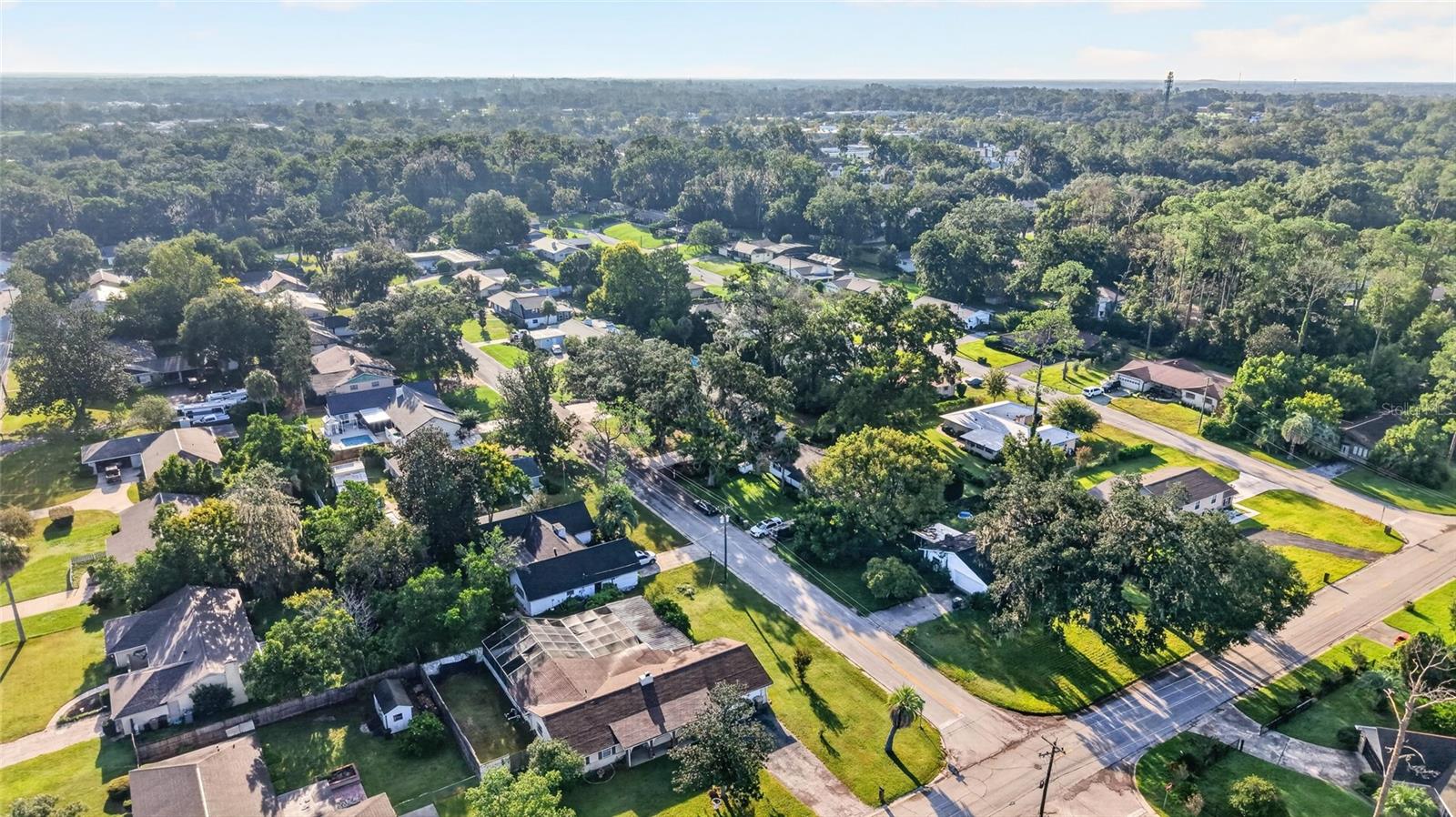 Aerial view of a leafy neighborhood with detached homes and tree-lined streets.