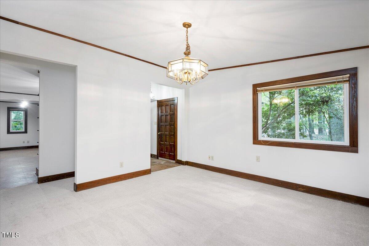 11637 Appaloosa W