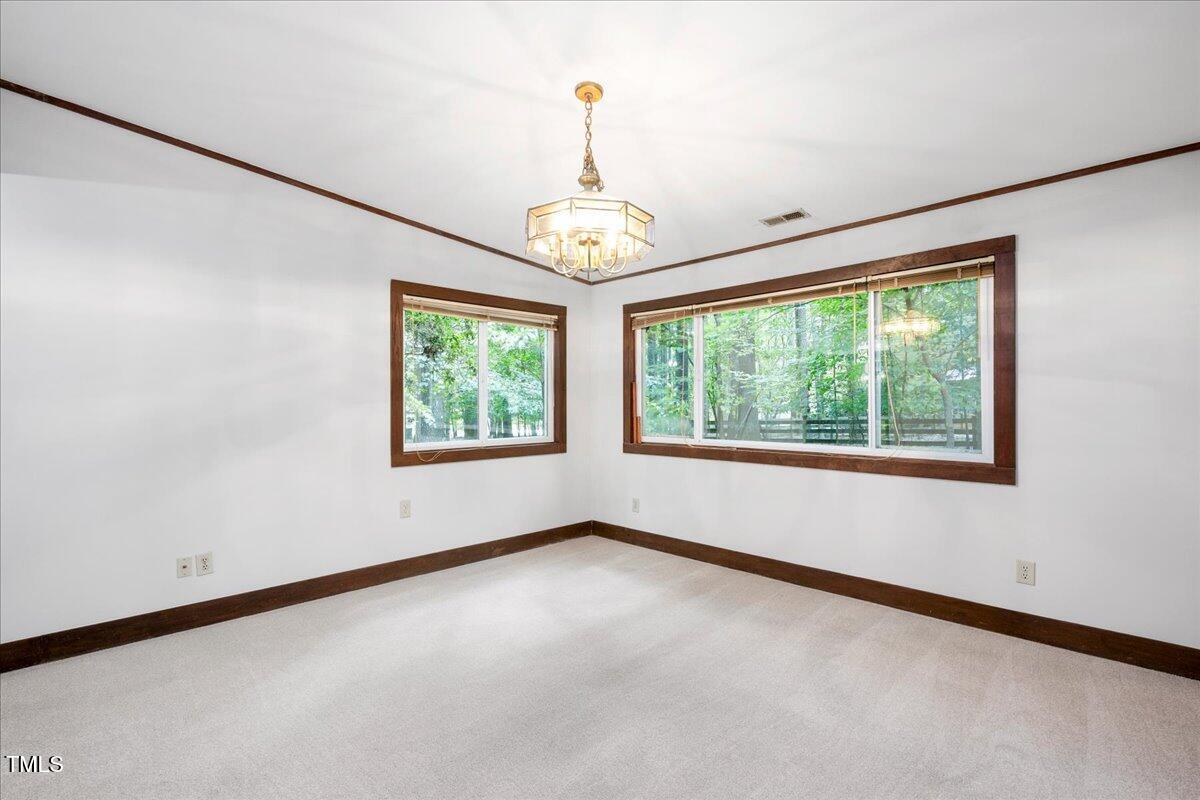 11637 Appaloosa W