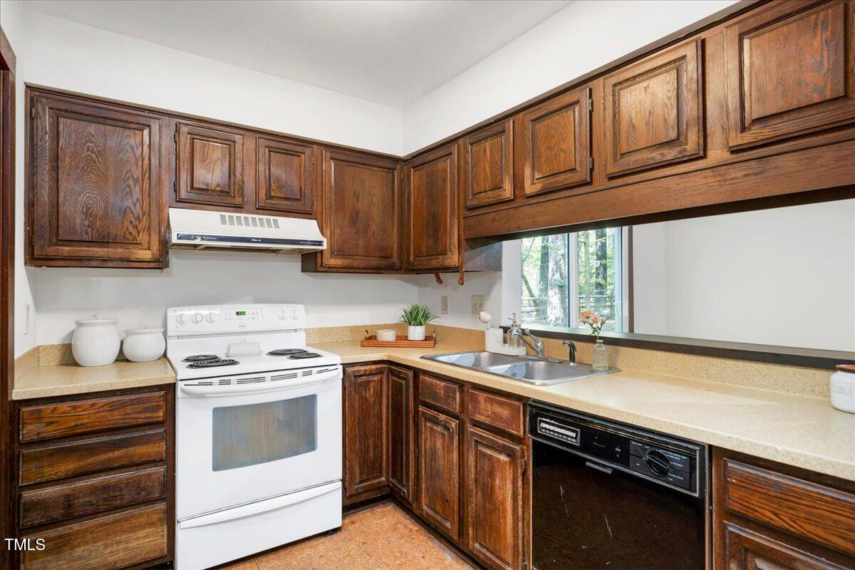 11637 Appaloosa W