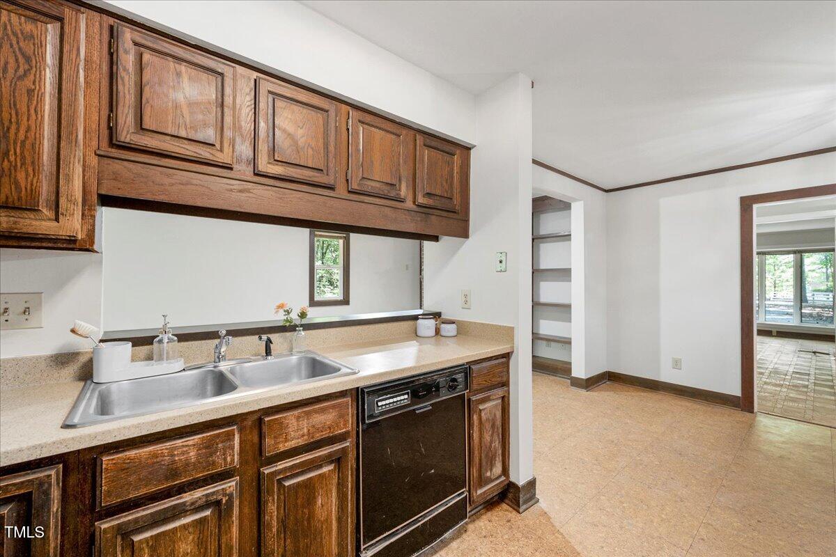 11637 Appaloosa W