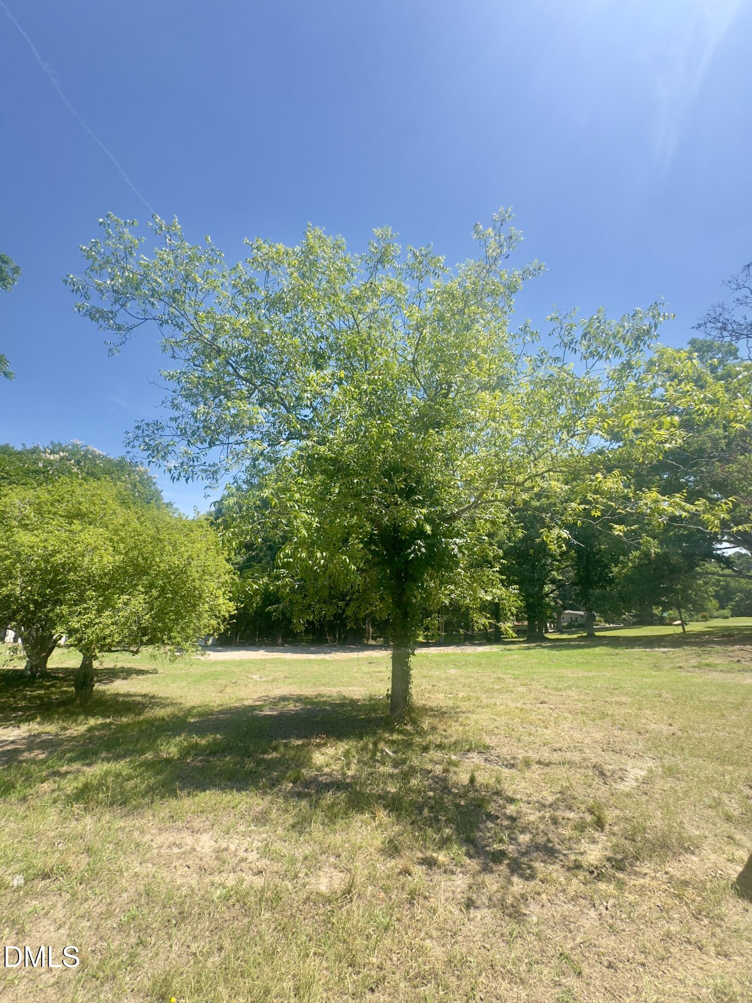 Open grassy property with mature trees beneath a clear blue sky.