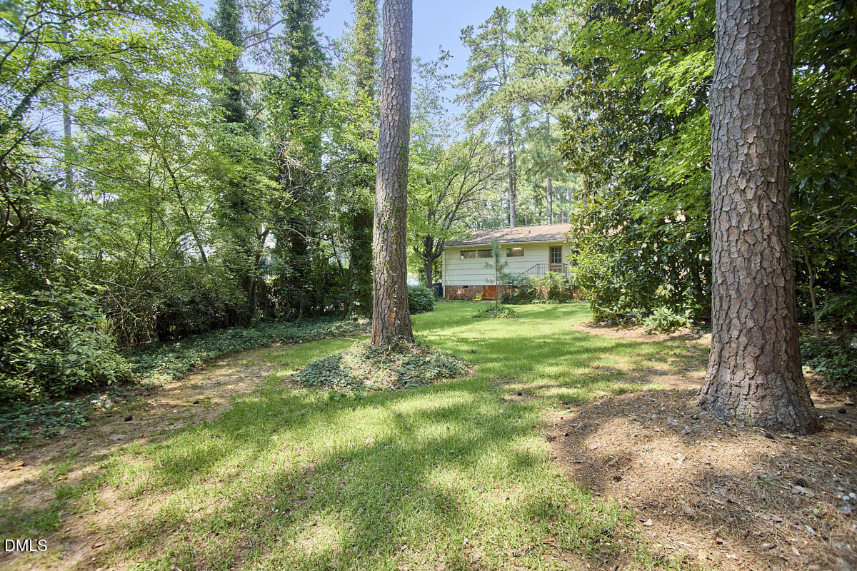 3409 Cherry Lane