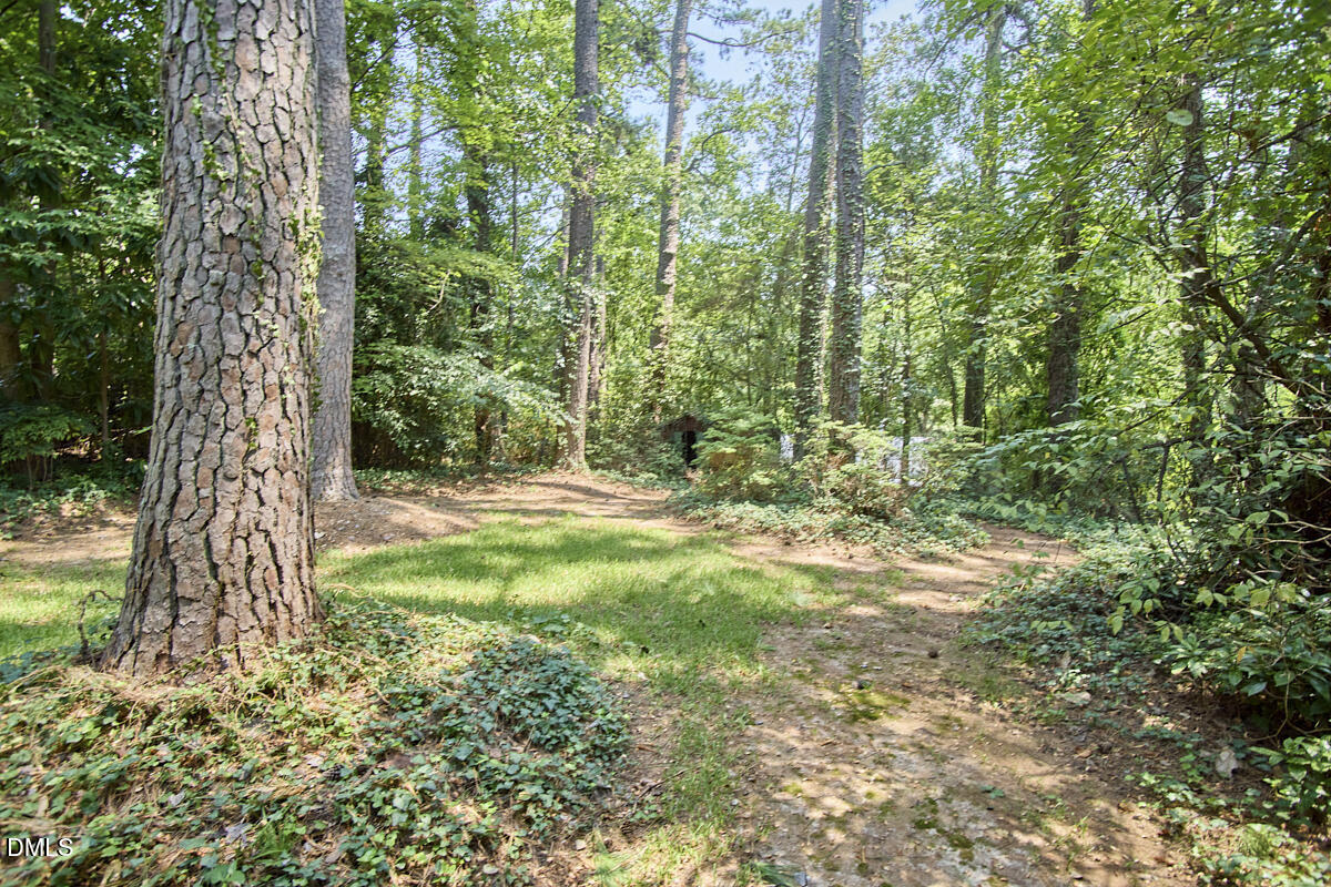 3409 Cherry Lane
