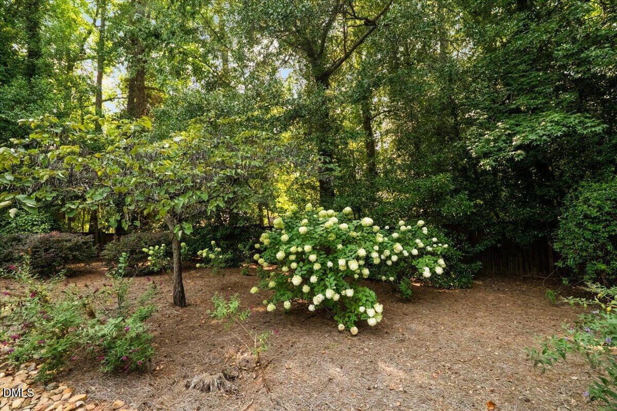 1207 Duplin Road