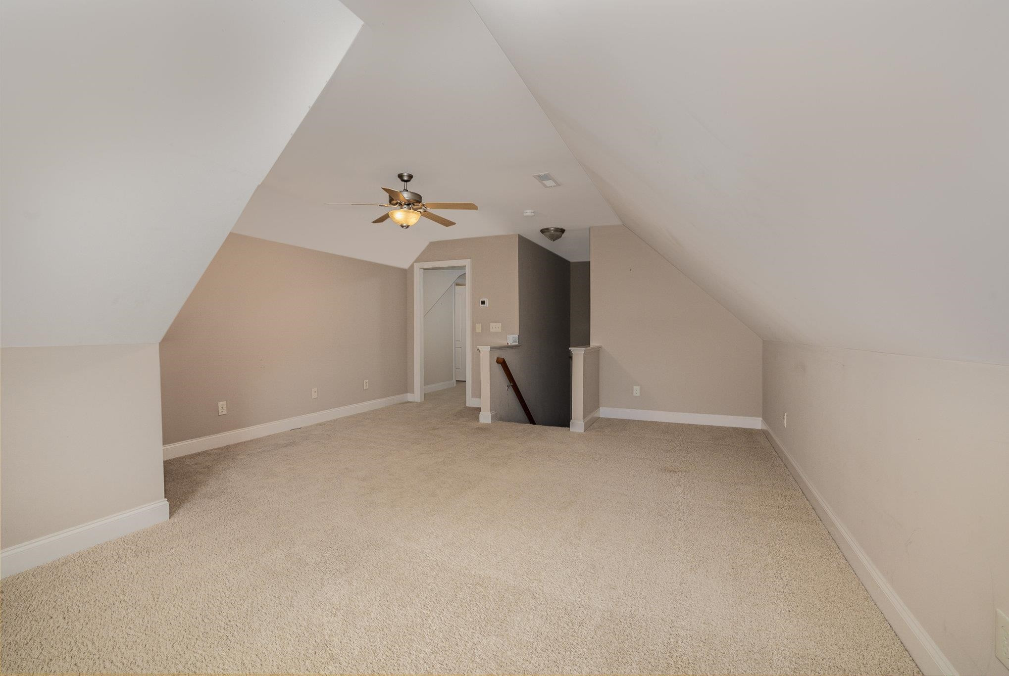 257 Shady Hollow Lane