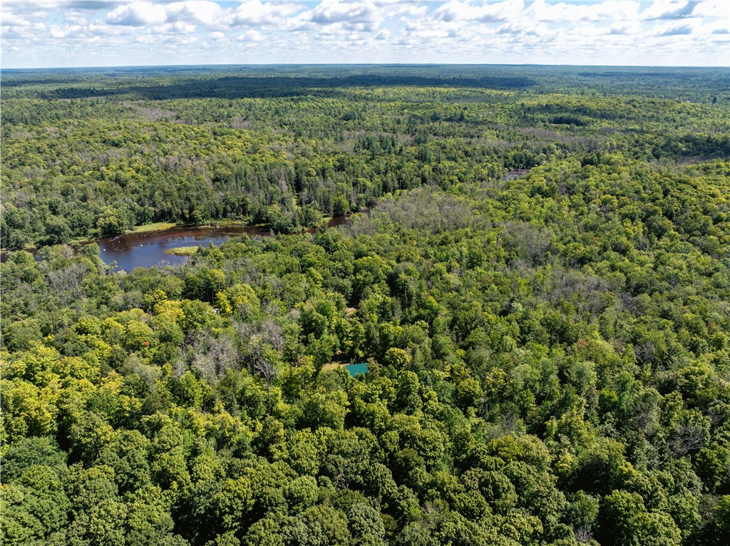 9379 N Chippewa Pines Way