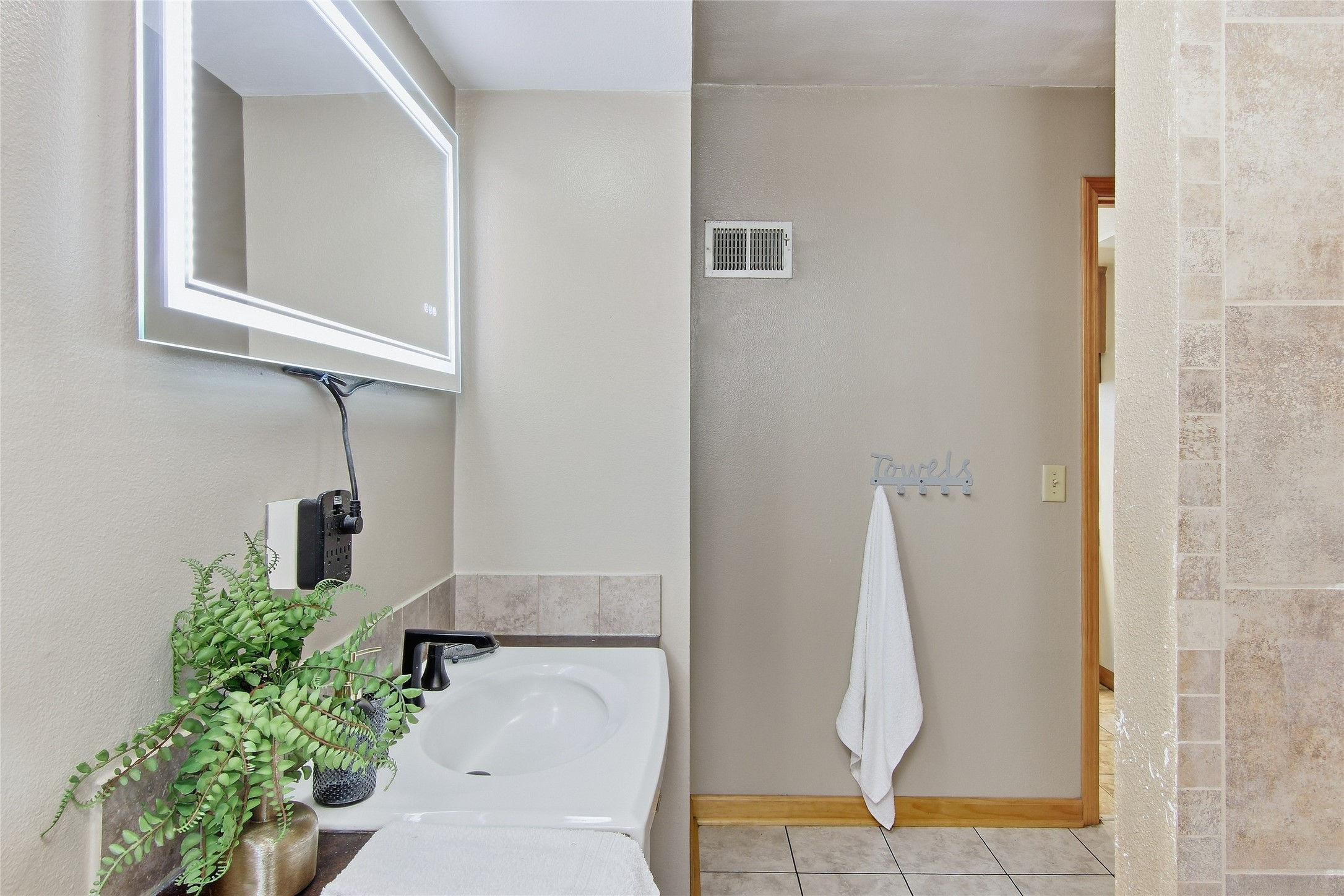 Bathroom vanity with an illuminated mirror, leafy plant, and white towel hanging on the wall.