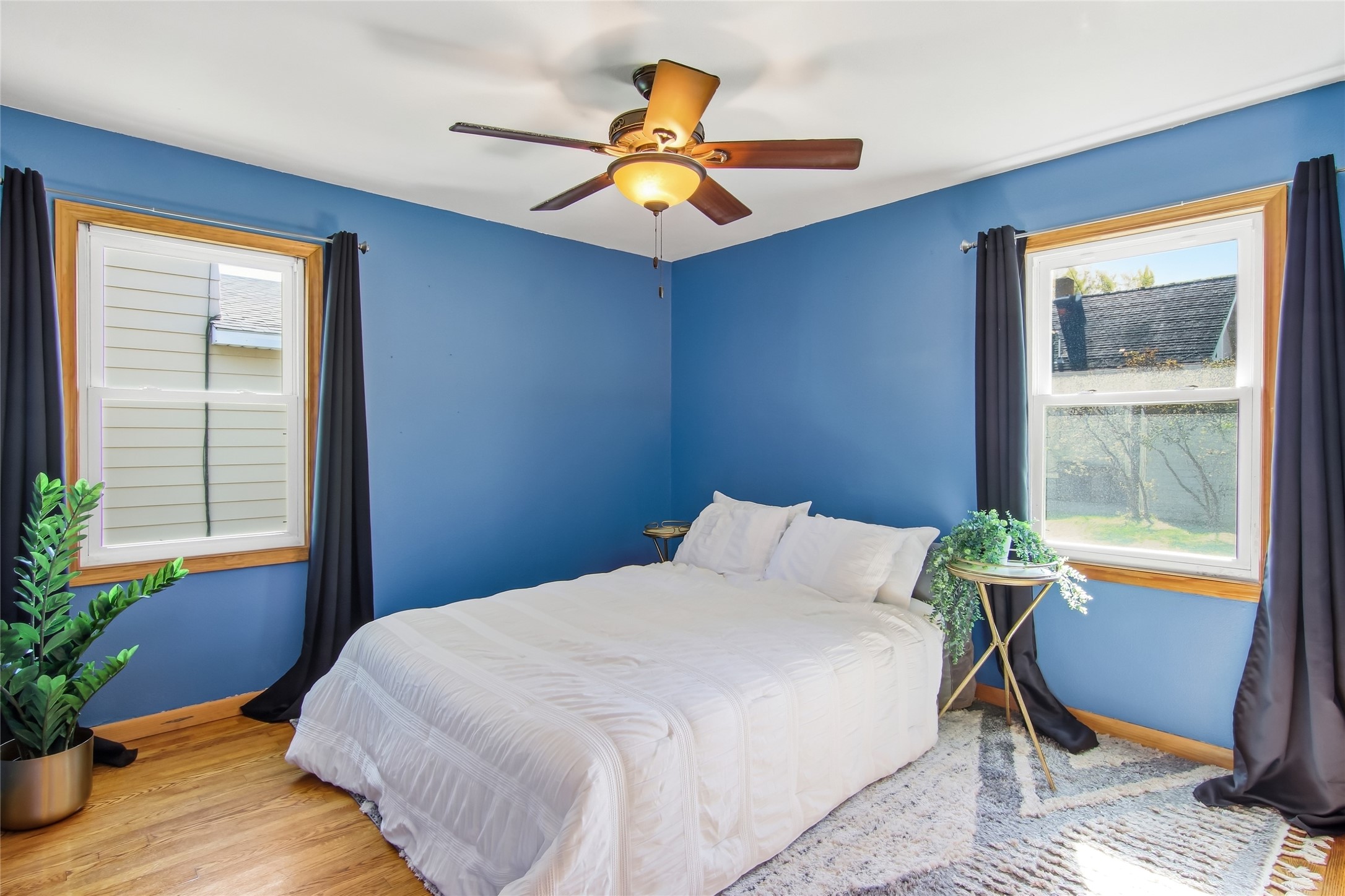 Bedroom with blue walls, a white bed, hardwood floors, and a ceiling fan.