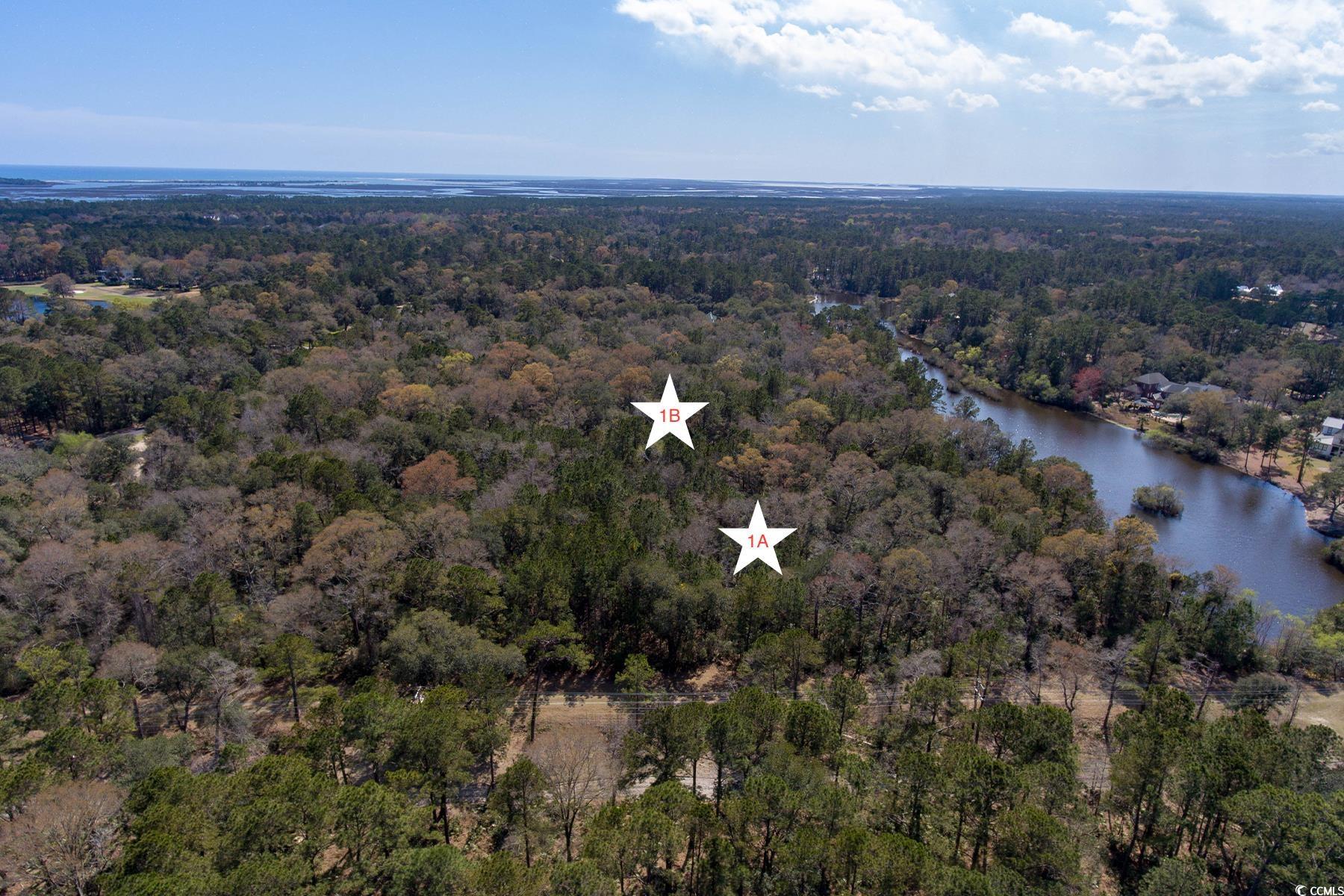 Lot 1A+1B Wallace Pate Dr.