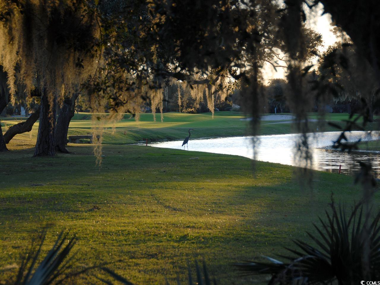 Lot 81 Brandon Way