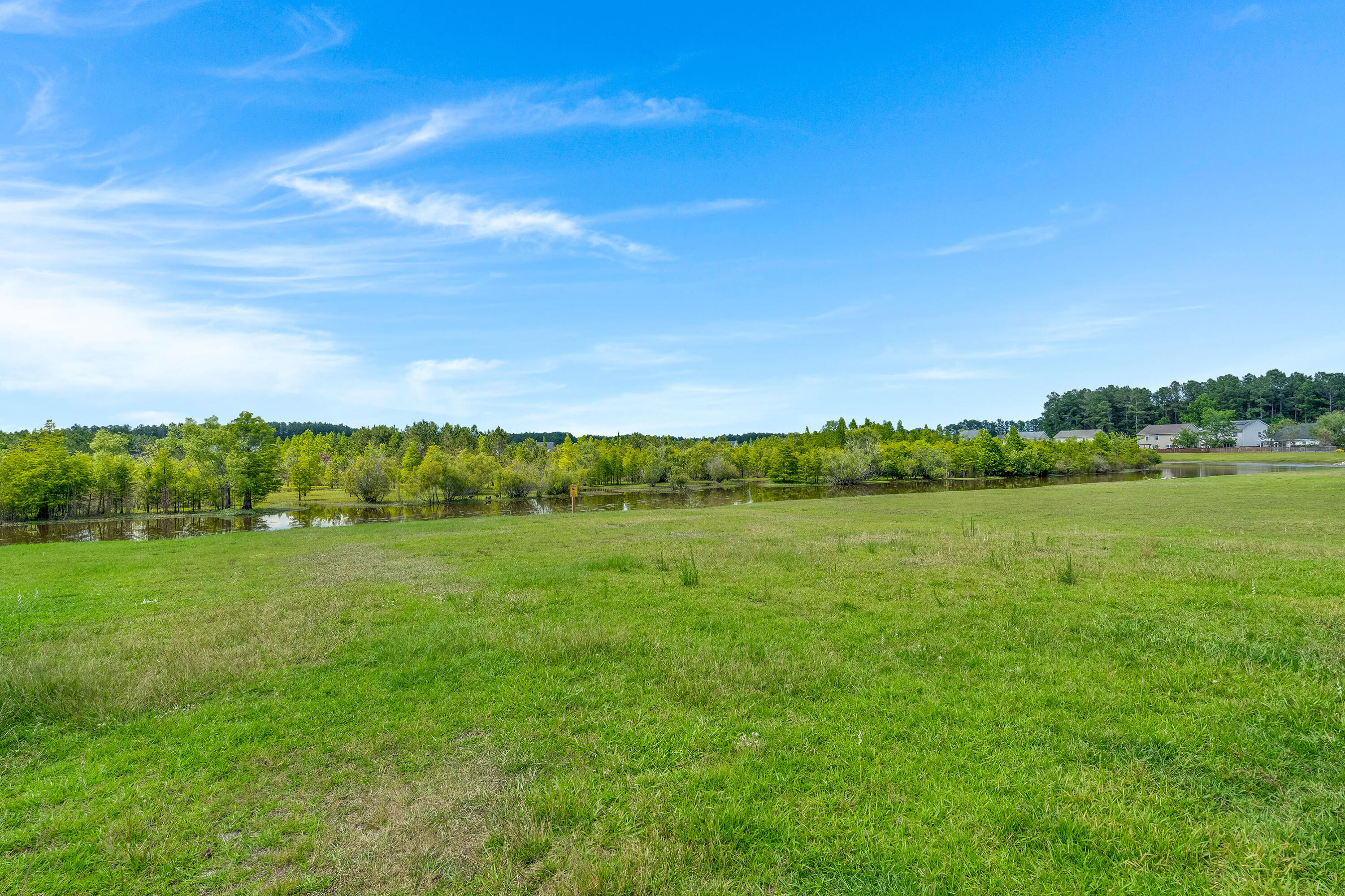 Grassy field and pond bordered by trees, with homes in the distance.