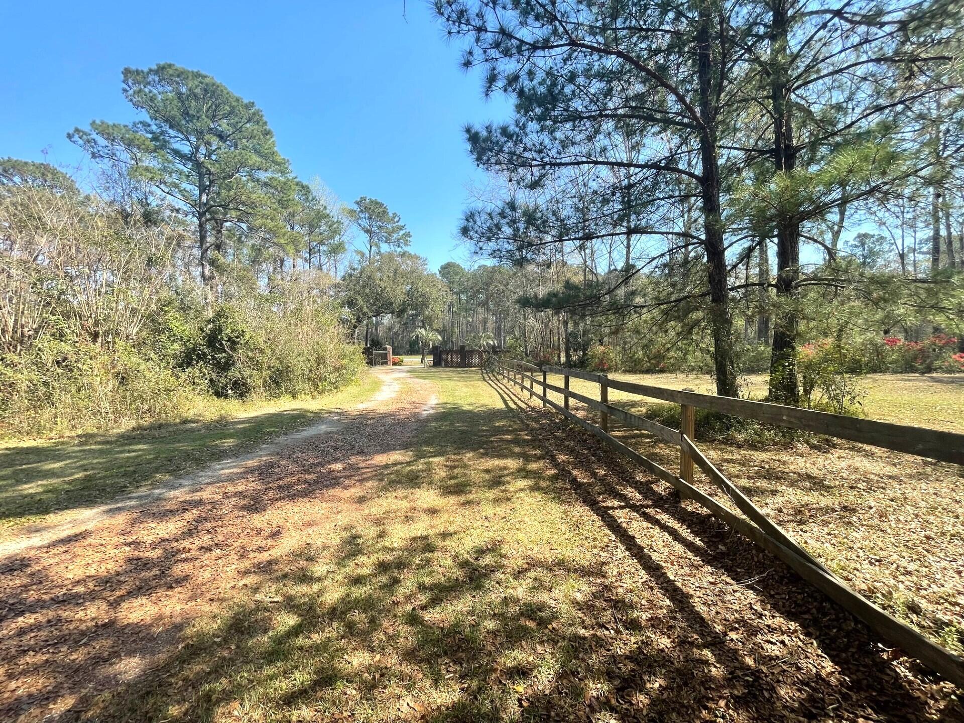 Gravel driveway through a wooded yard, bordered by a long wooden fence.