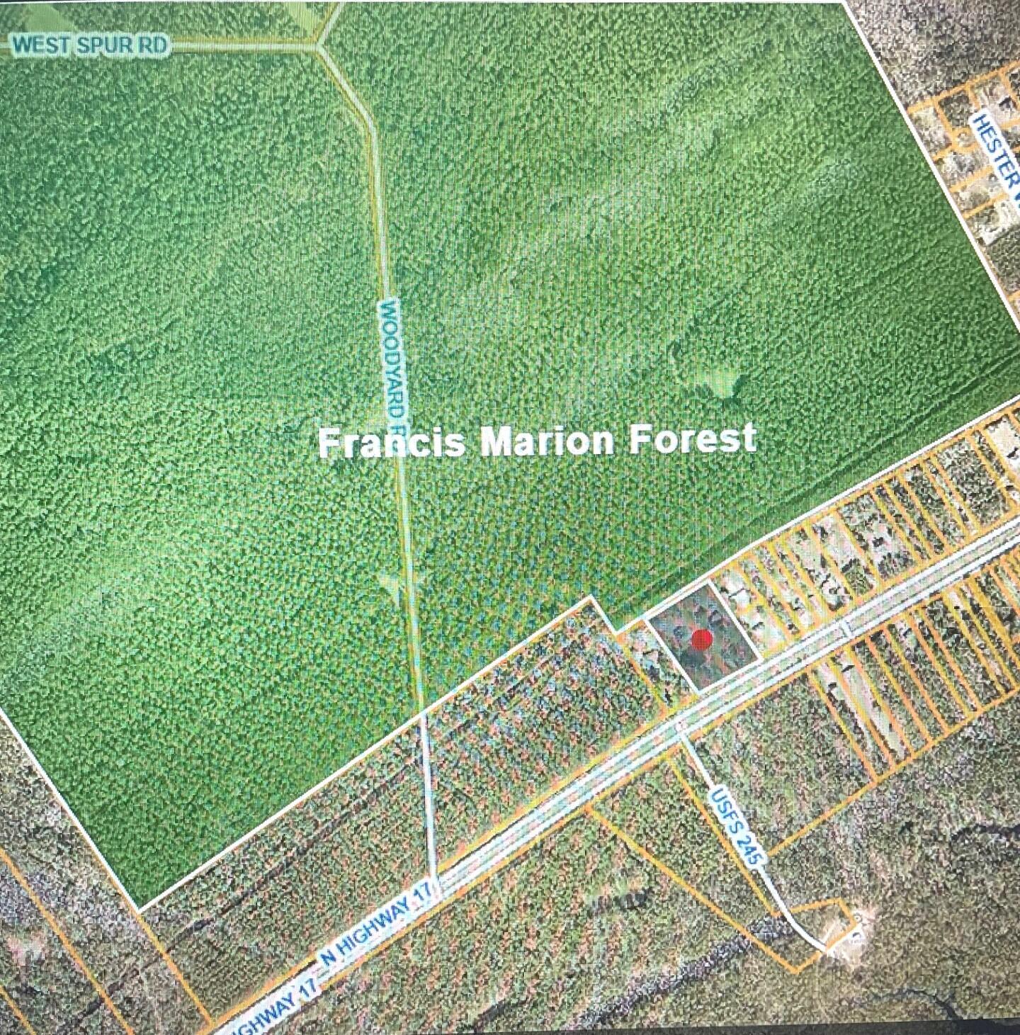 Map marking a parcel along US Highway 17 beside Francis Marion Forest.