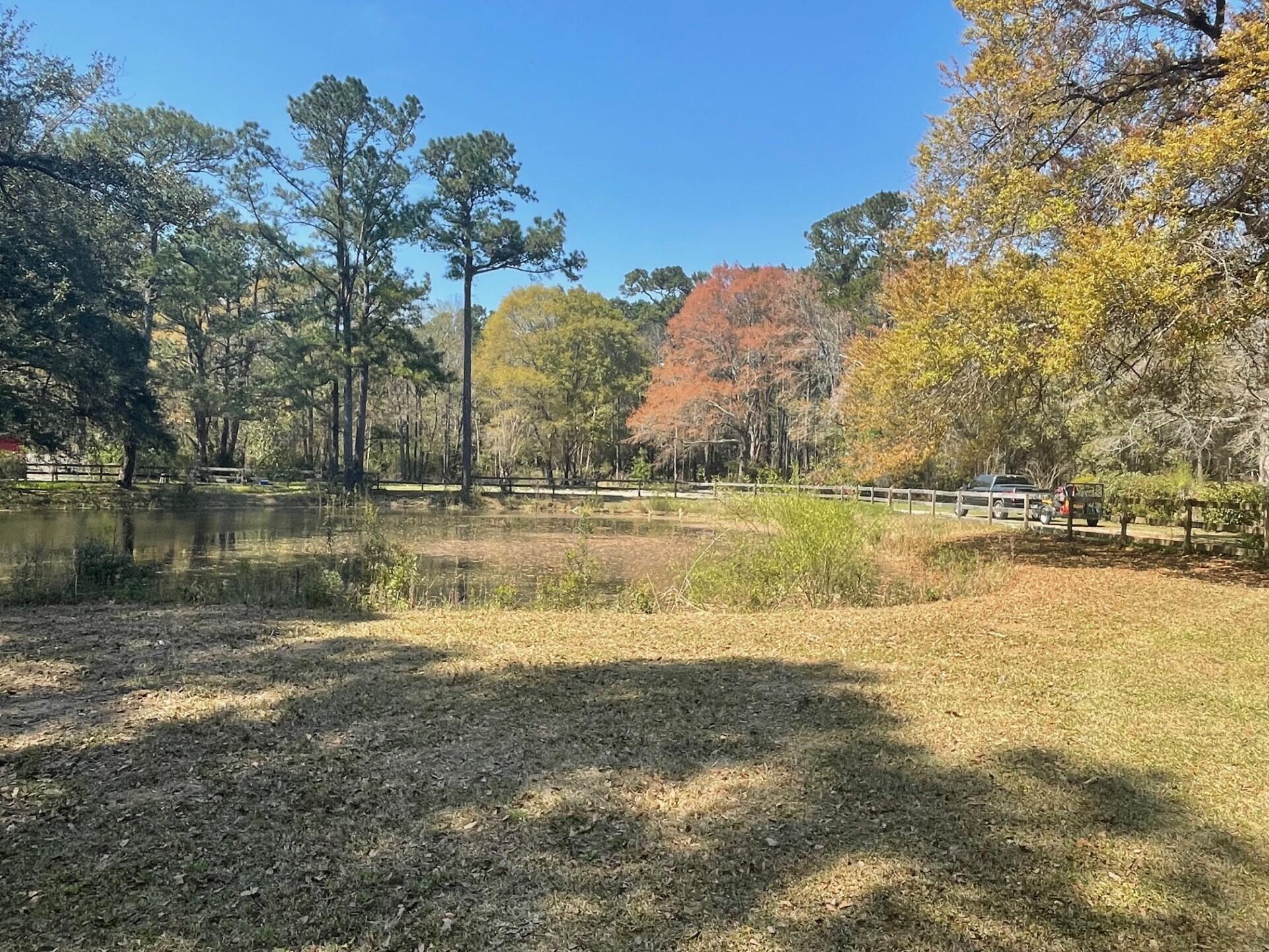 Wooded property lot with a small pond, mature trees, and a roadside fence.