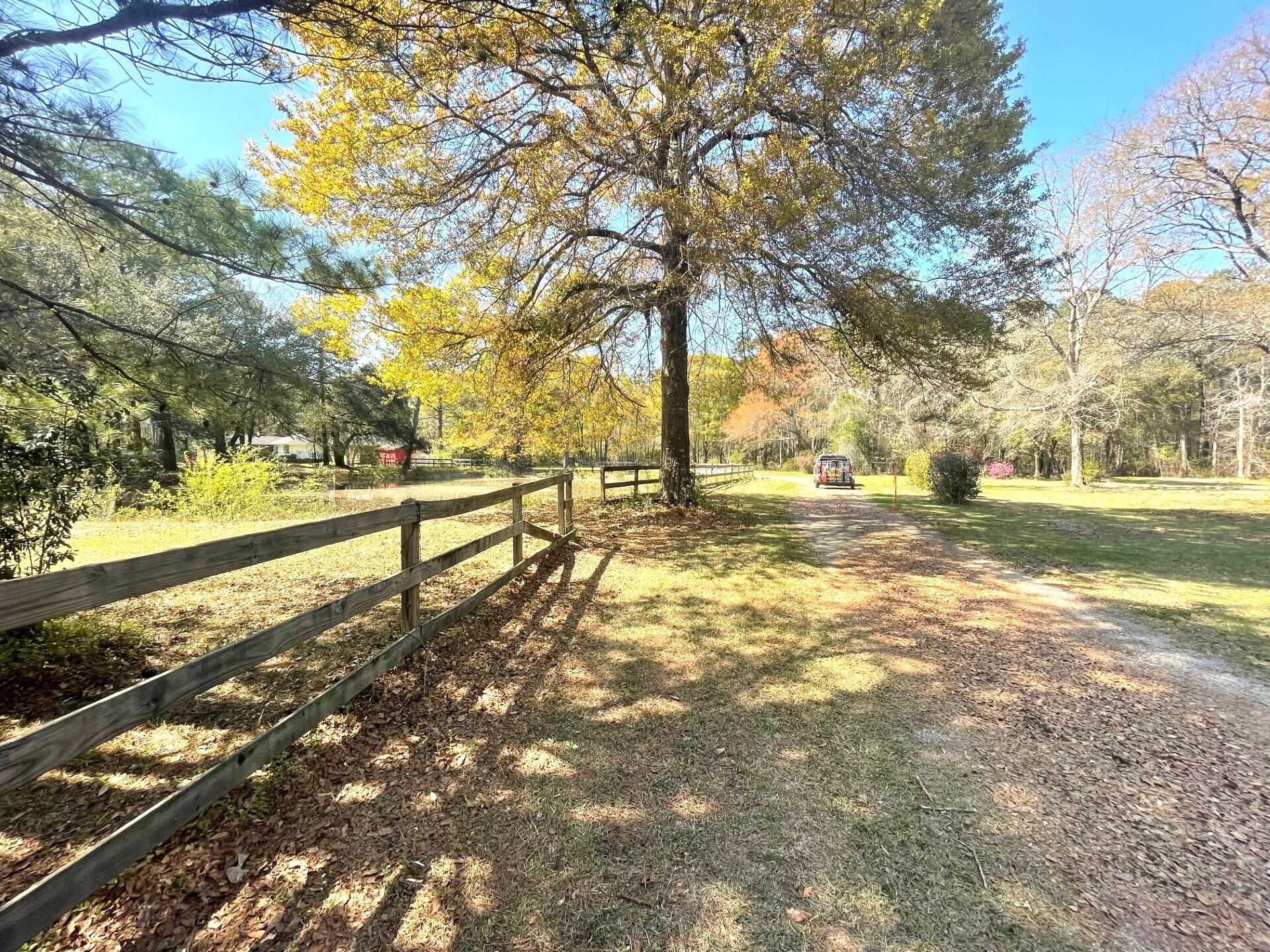 Tree-lined property driveway bordered by a split-rail fence beneath a large mature tree.
