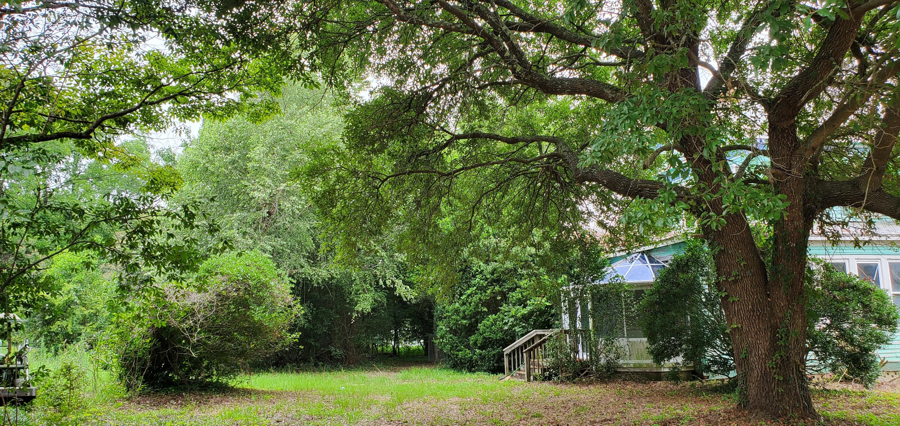 Turquoise house partly hidden by shrubs beneath a large shade tree in a leafy yard.