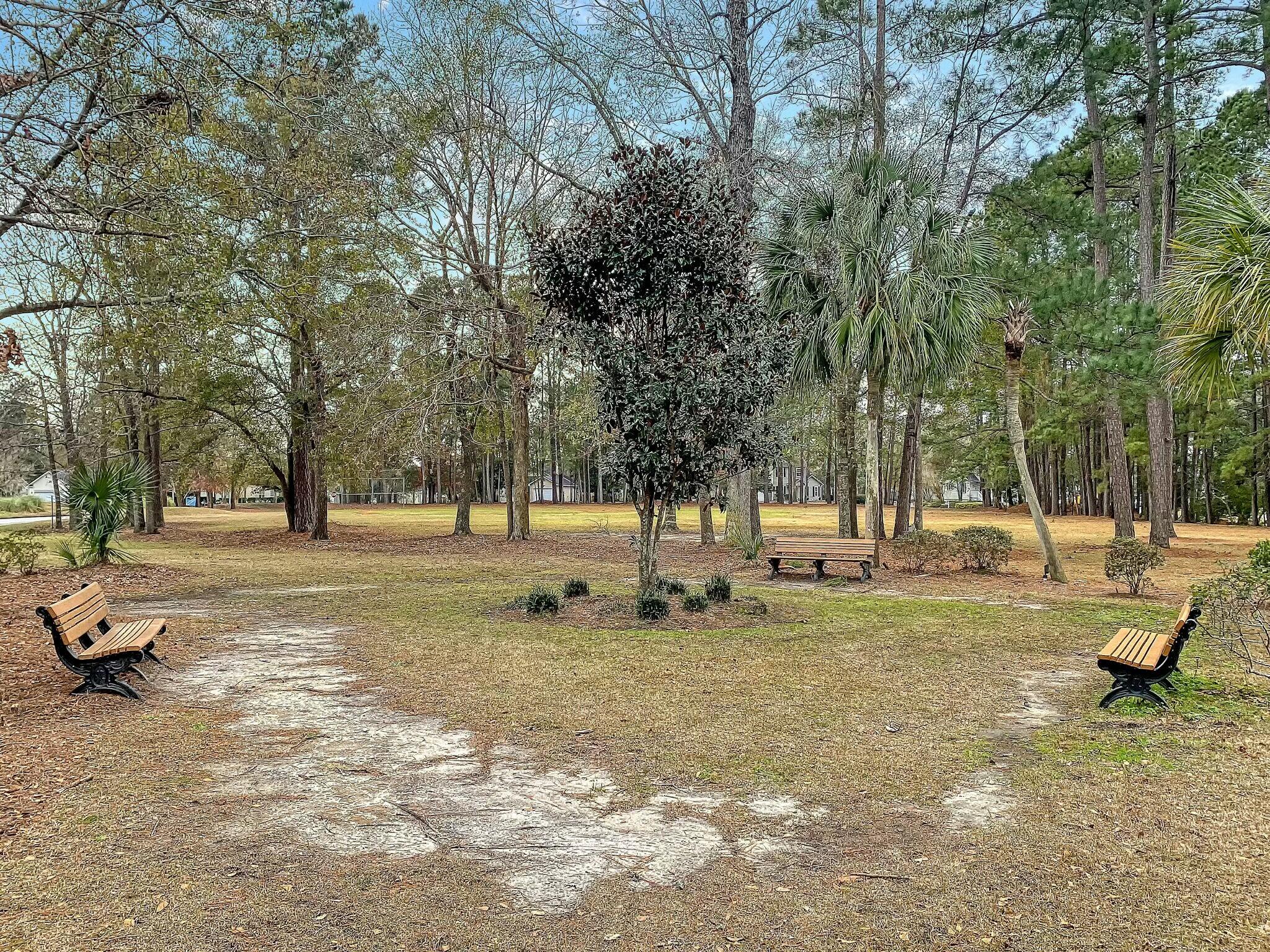 Wooded outdoor area with mature trees, palm trees, wooden benches, and a worn footpath.