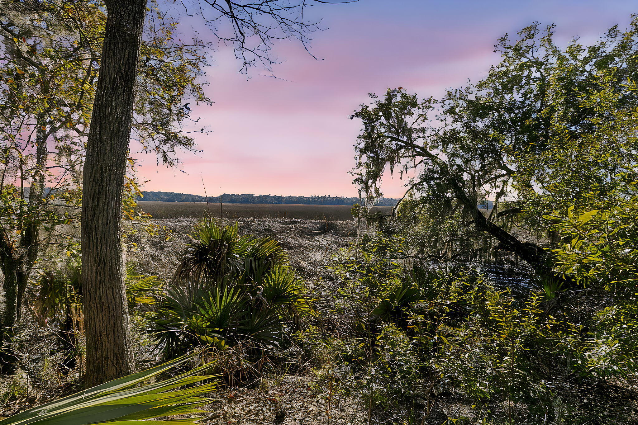 Tidal marsh framed by palmetto plants and moss-draped trees beneath a pink dusk sky.