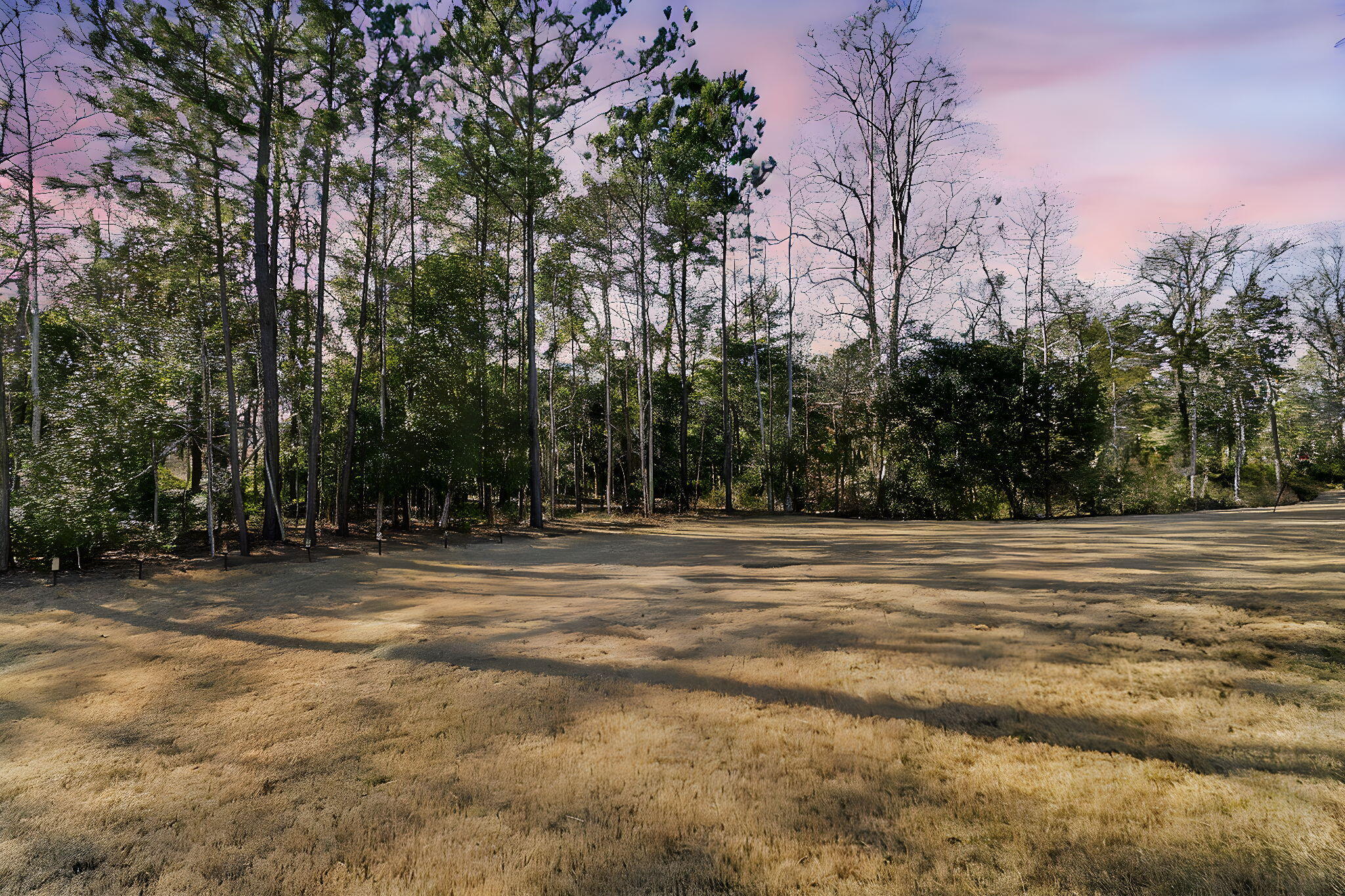 Cleared grassy lot bordered by trees beneath a pink evening sky.