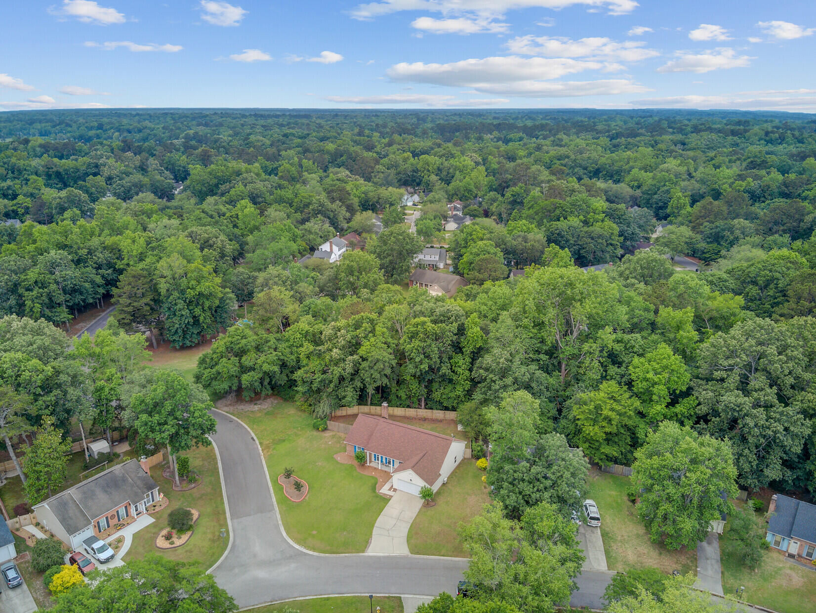 Aerial view of a leafy neighborhood with detached homes and a curving street.