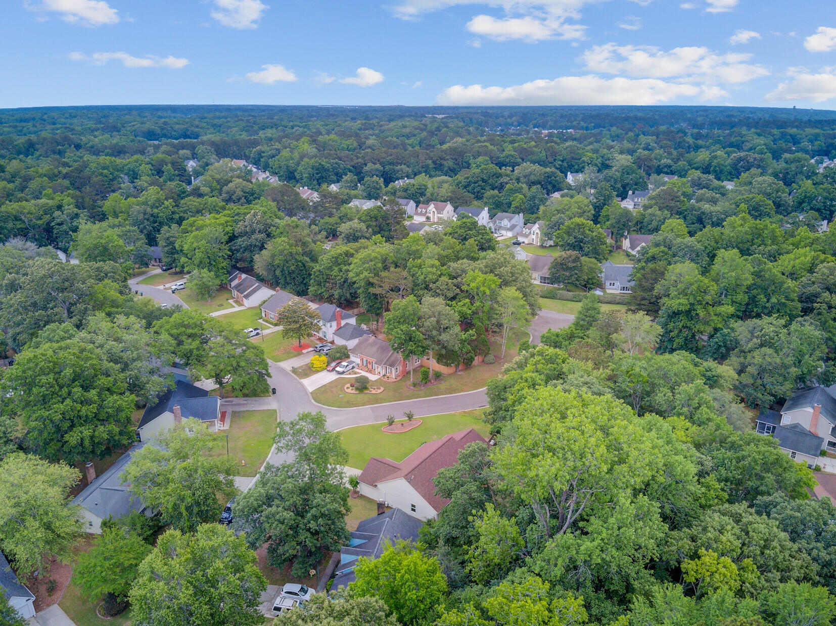 Aerial view of homes along a curved neighborhood street surrounded by mature trees.