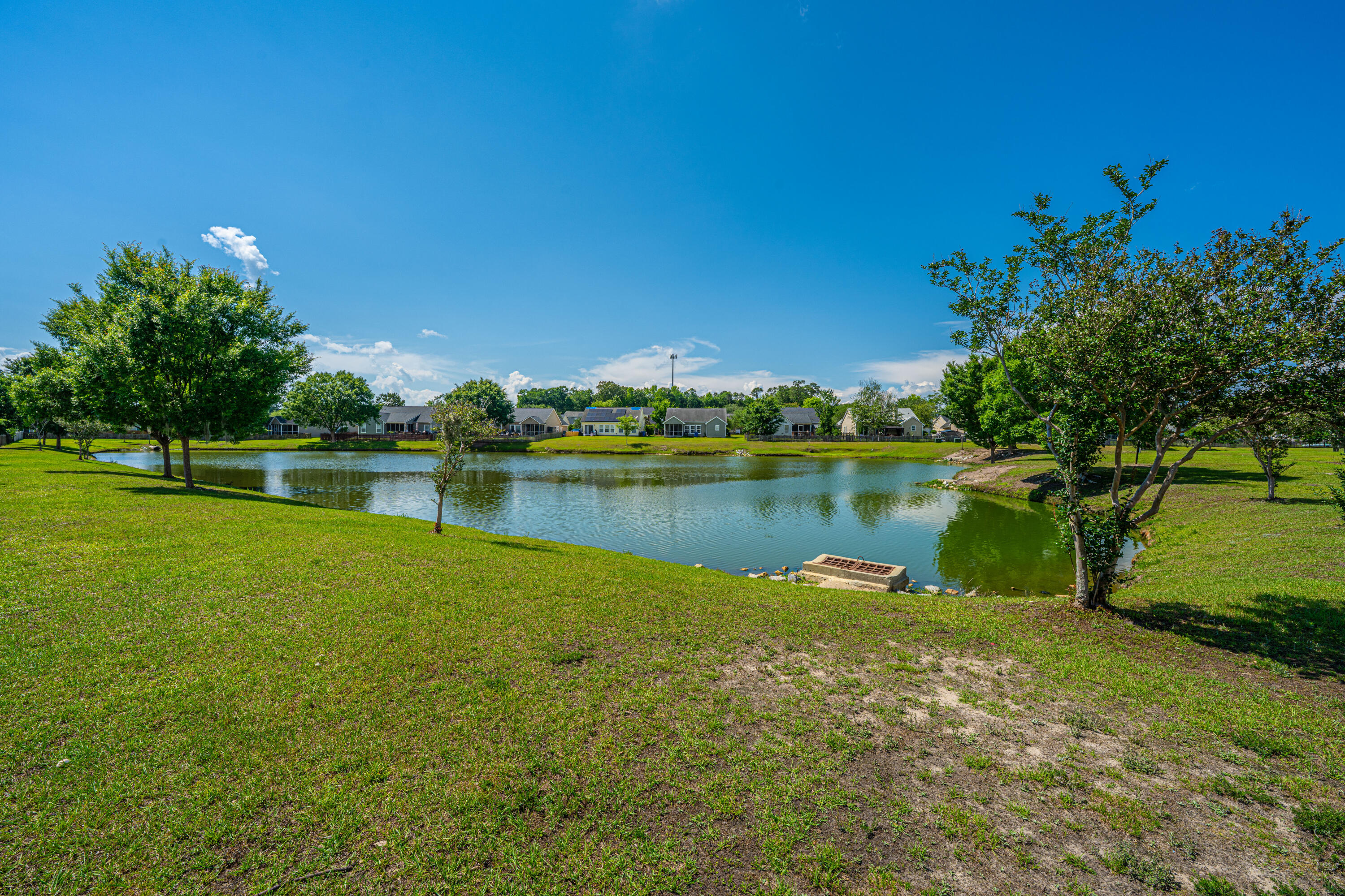 Neighborhood pond with a grassy bank, trees, and homes across the water.