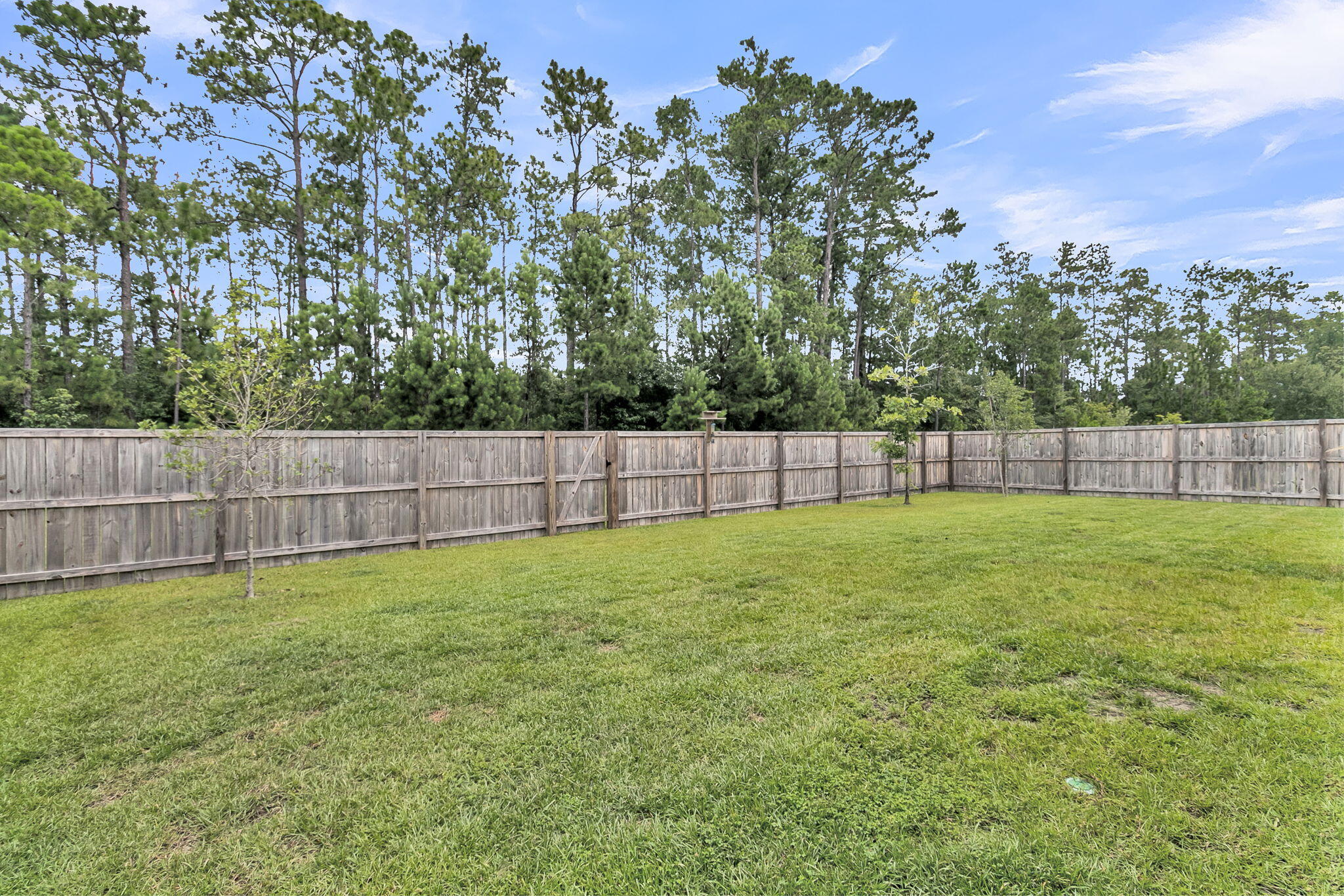 130 Wappoo Trace Lane