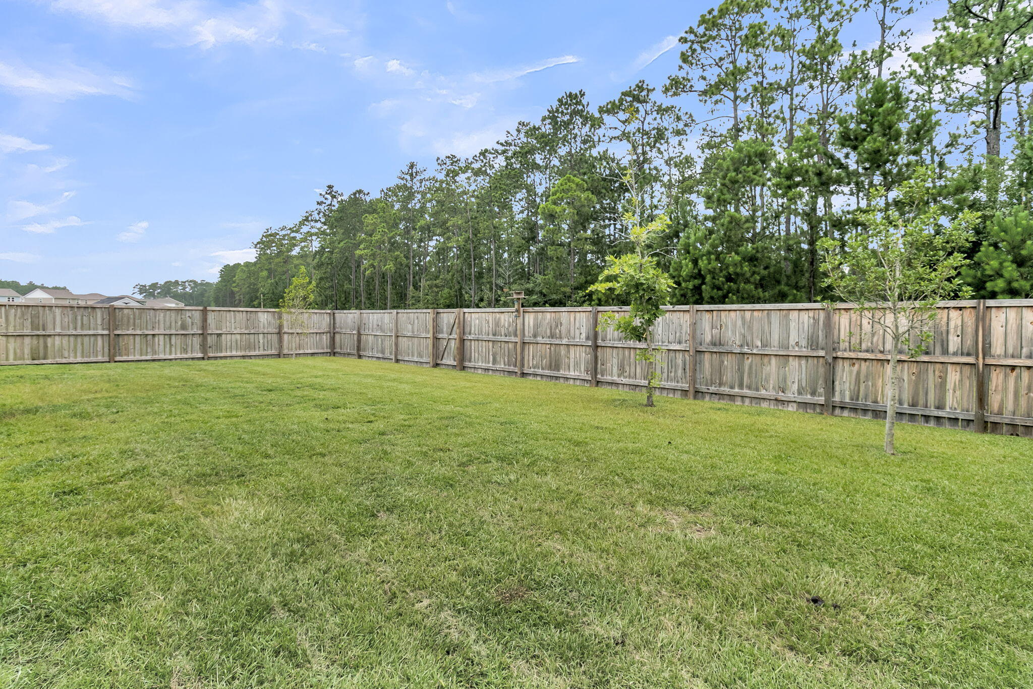 130 Wappoo Trace Lane