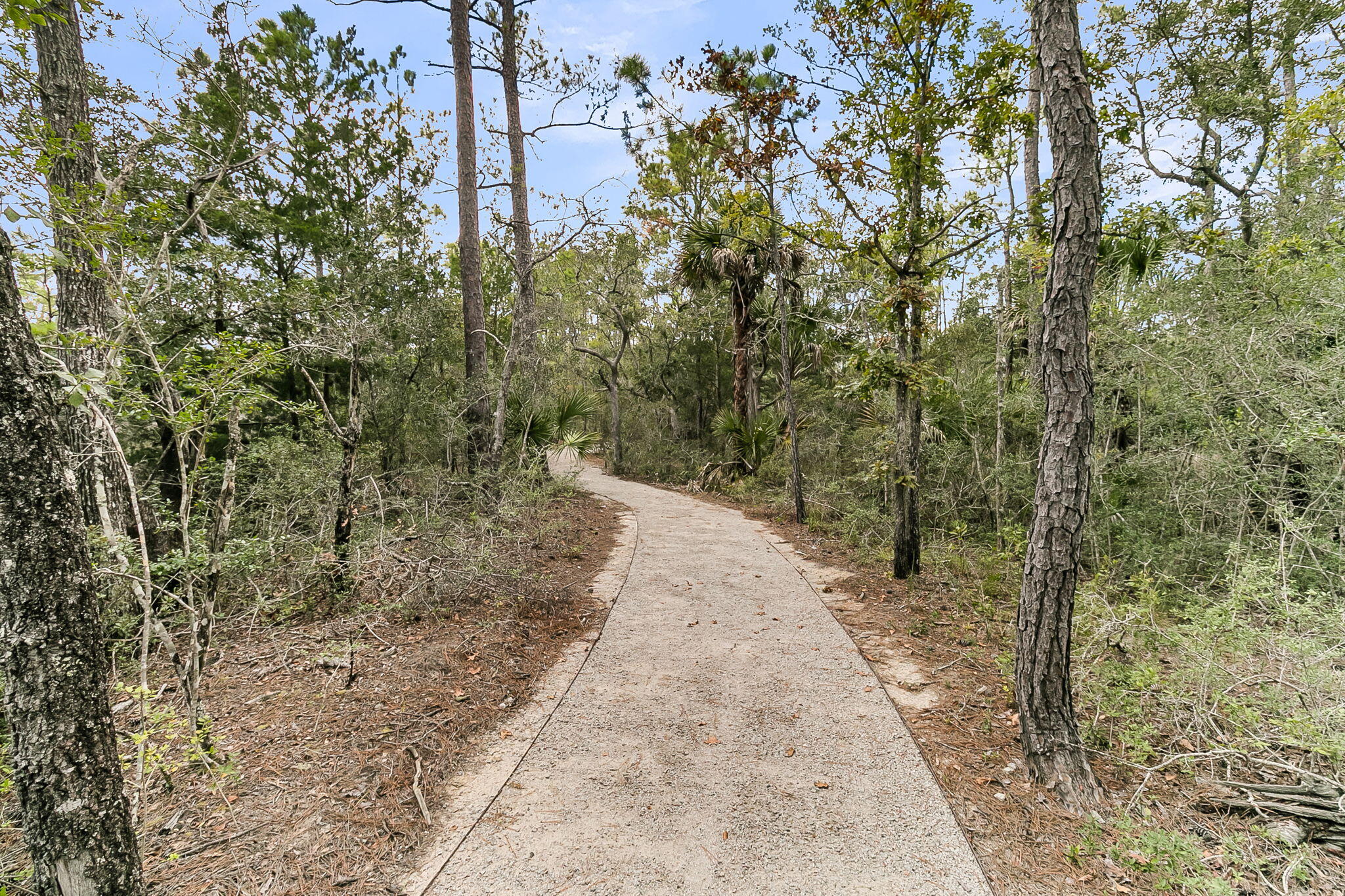 331 Blowing Fresh Drive