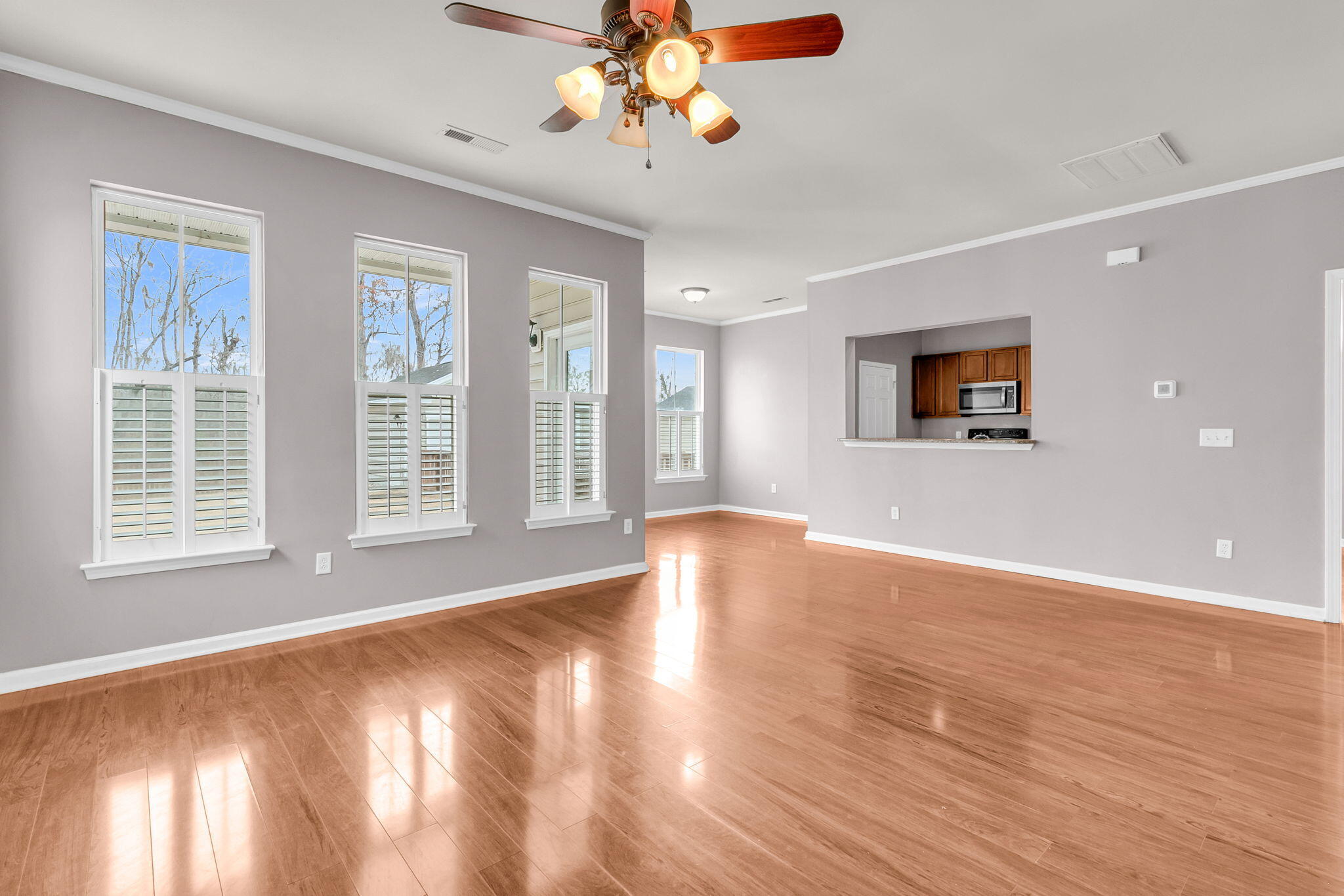 232 Old Savannah Drive