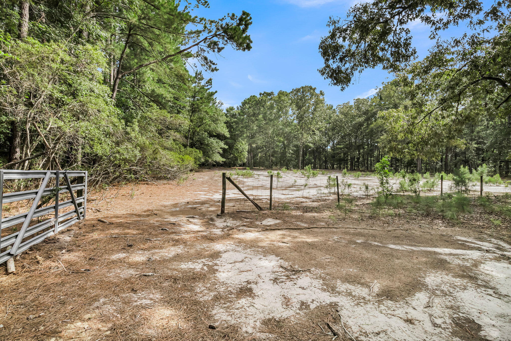 7971 Highway 162