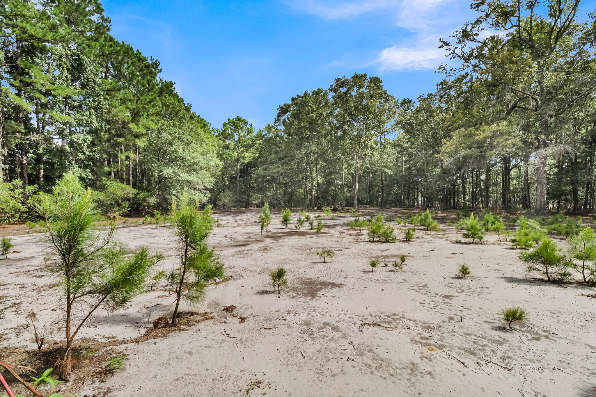 7971 Highway 162